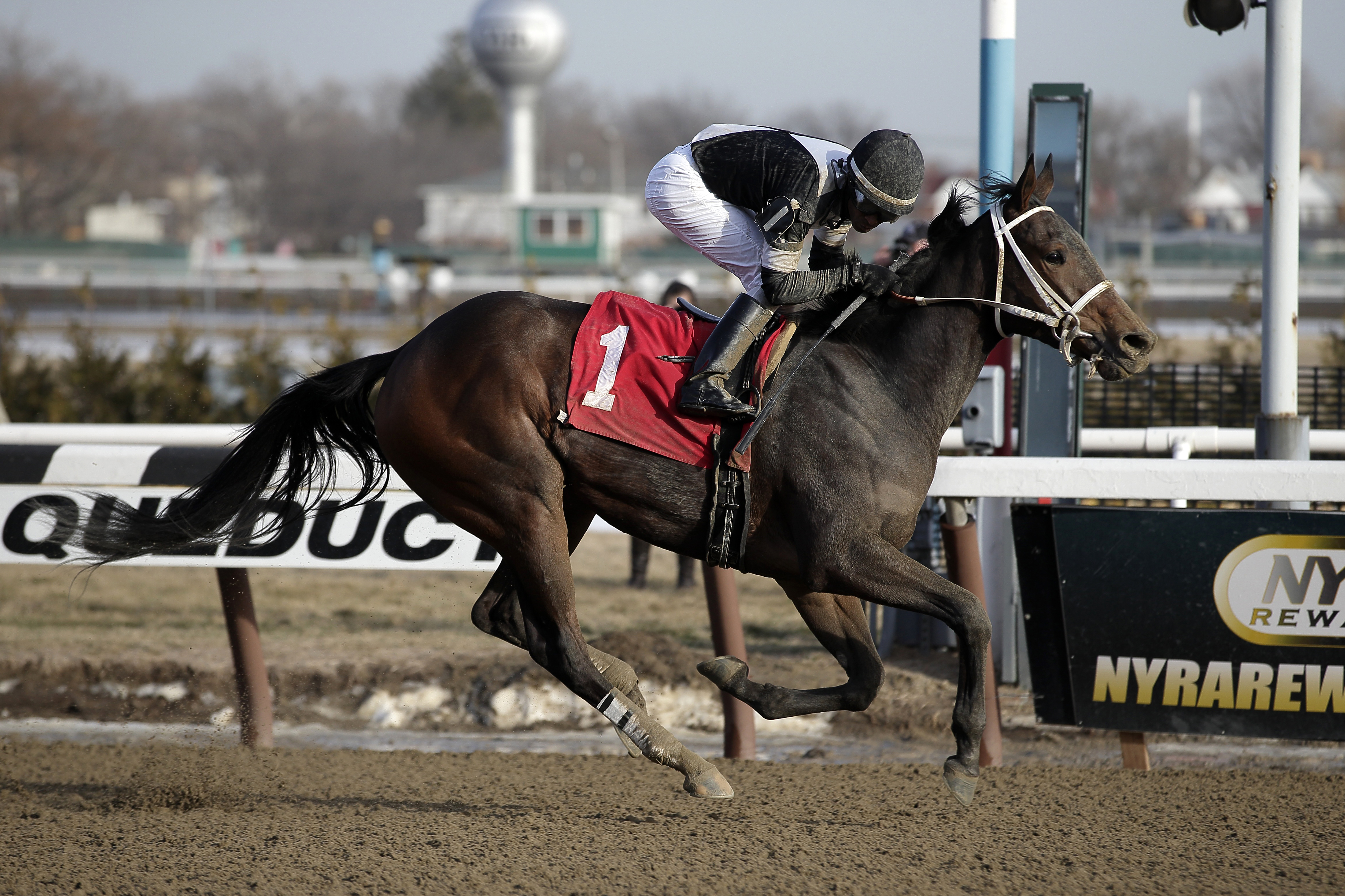 Joint Return wins the Busher Stakes