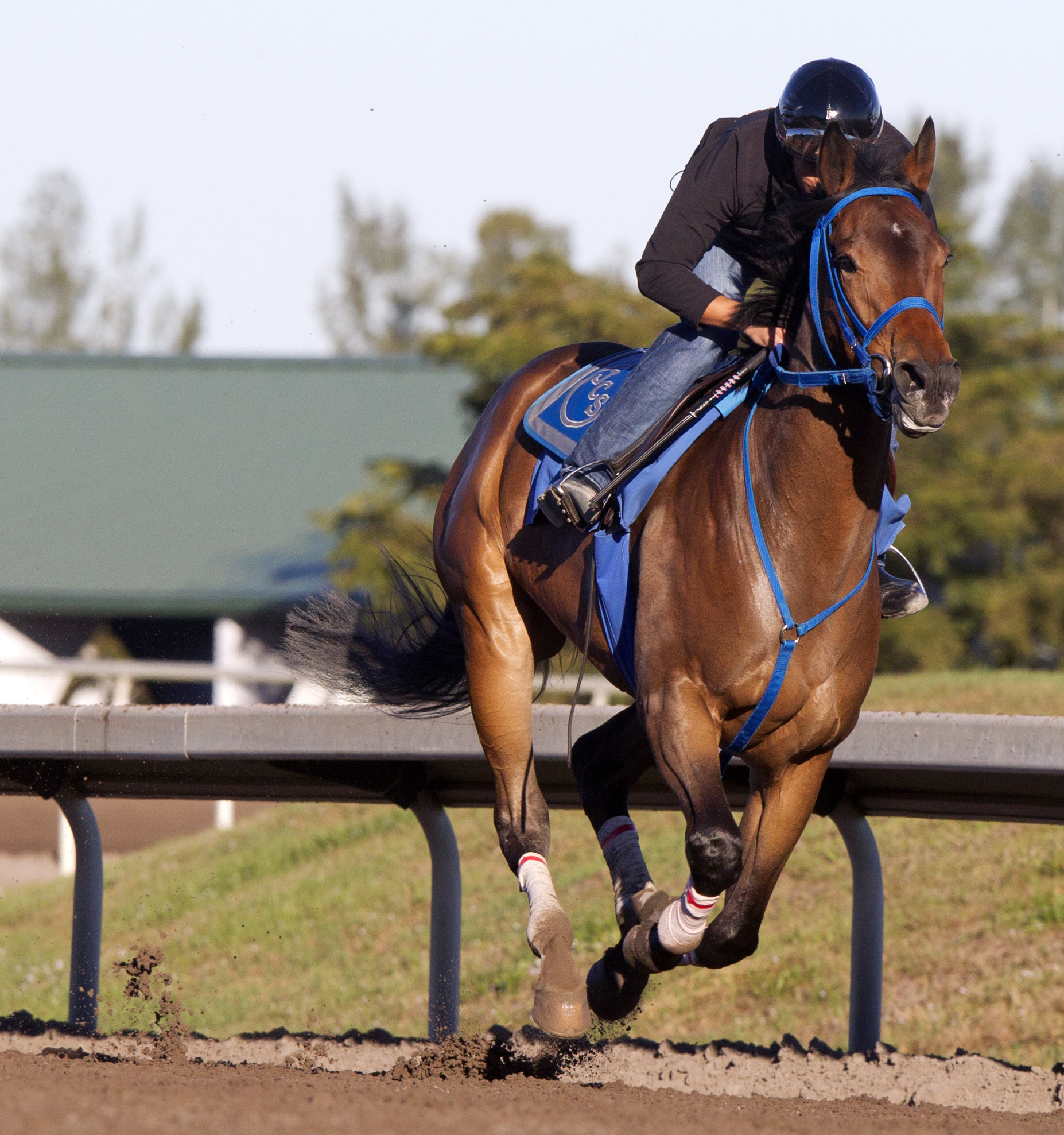 Joint Return at Palm Meadows in January