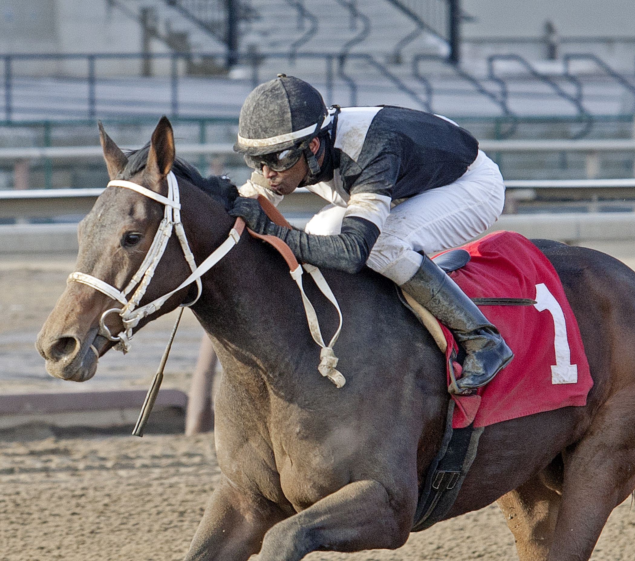 Joint Return, Feb 1, 2014