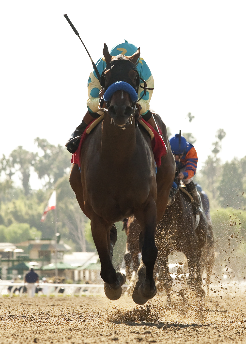 Jojo Warrior wins 2014 Summertime Oaks