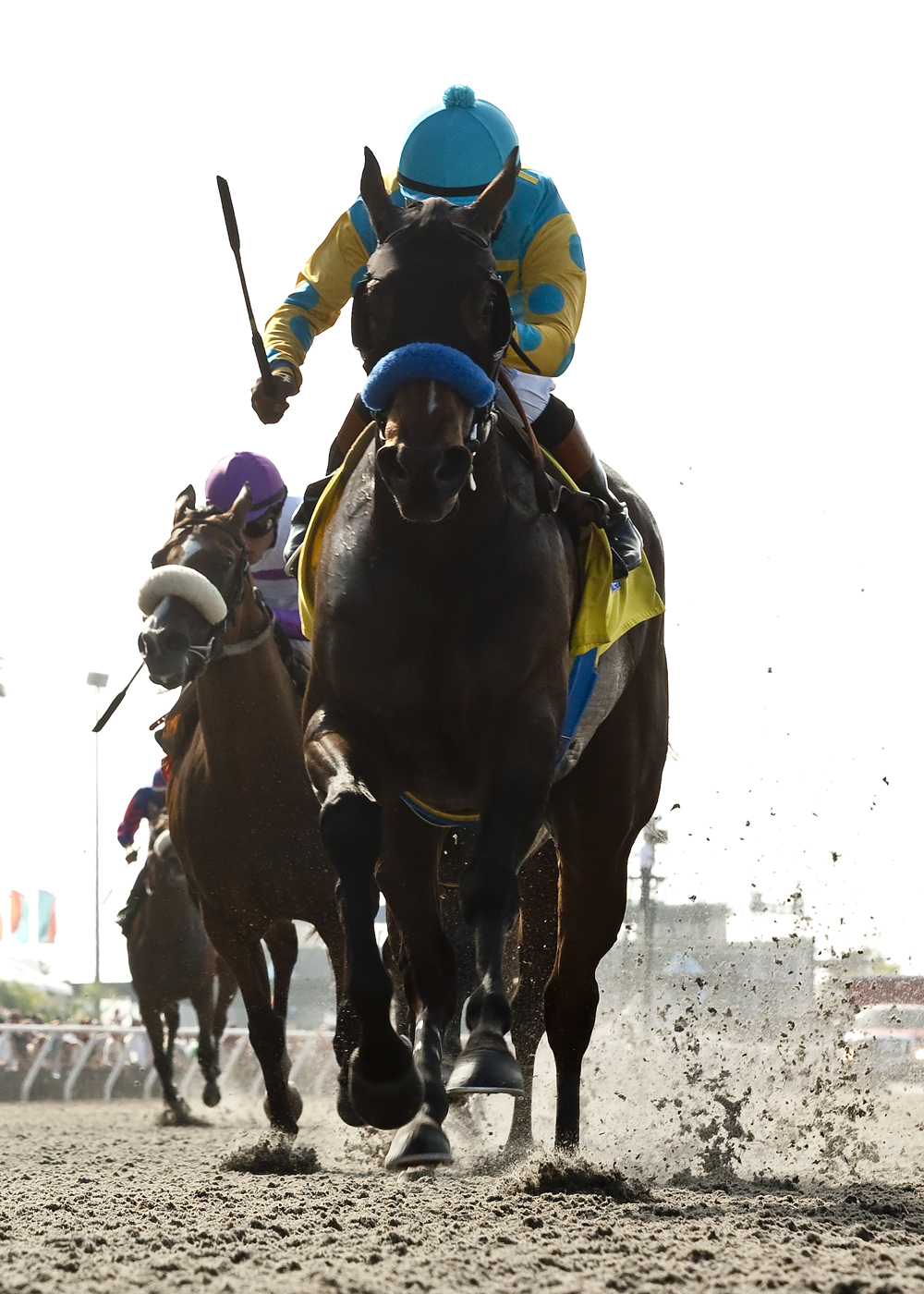 Jojo Warrior 8-31-2014