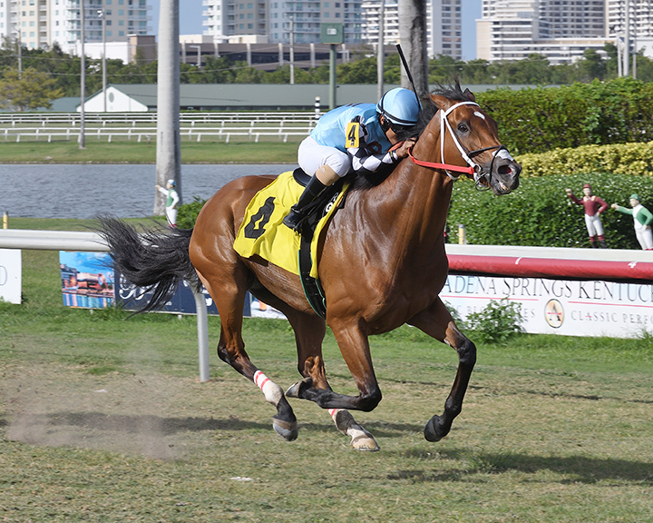 Jojo-s Dream wins a May 11 allowance race