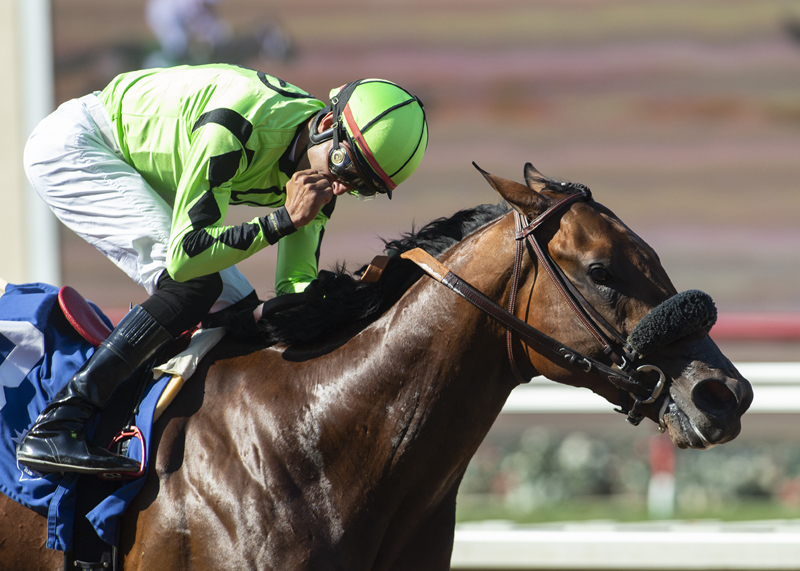 Joker Boy wins I'm Smokin Stakes 9-4-2021