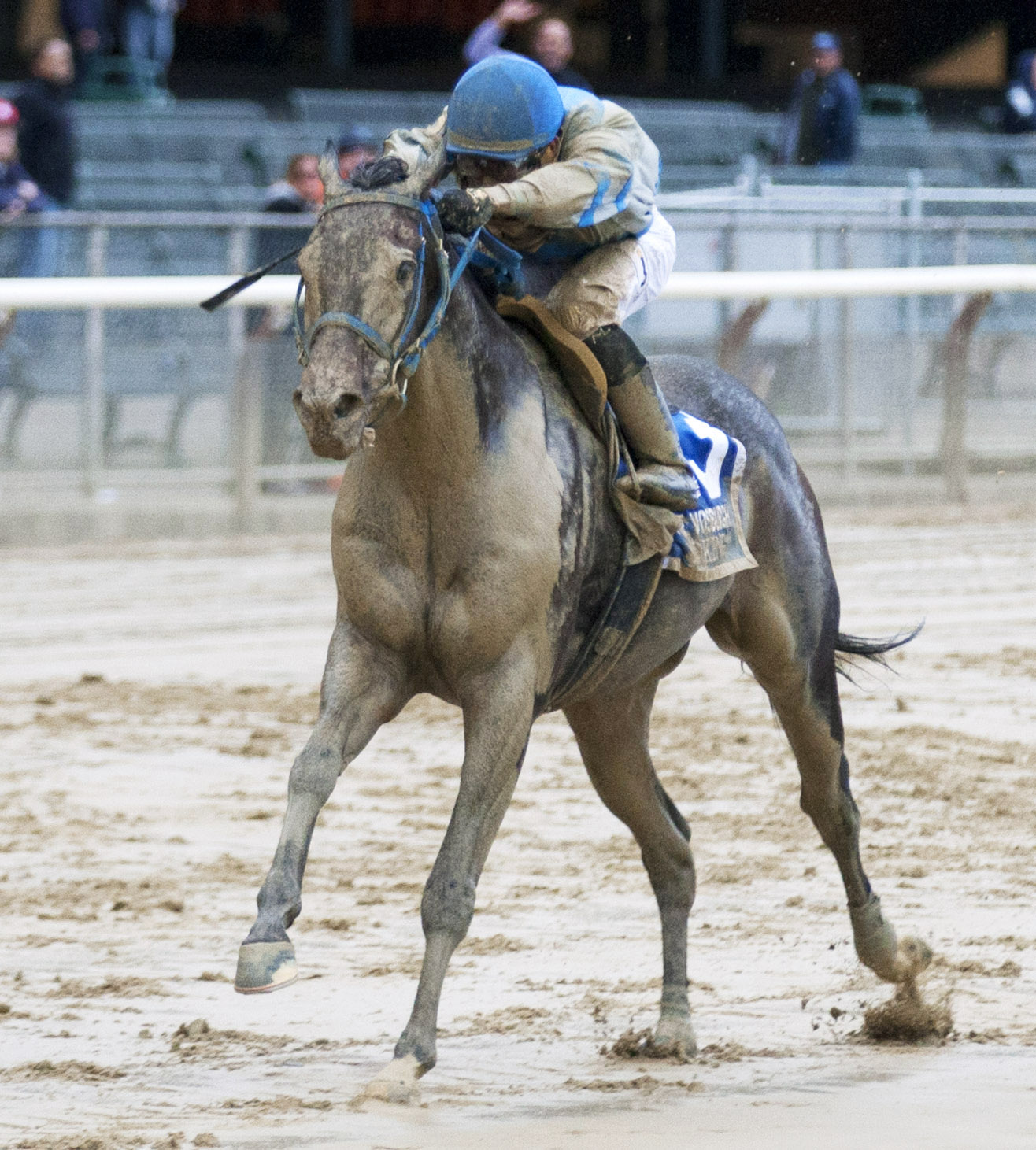 Joking wins the Vosburgh Stakes