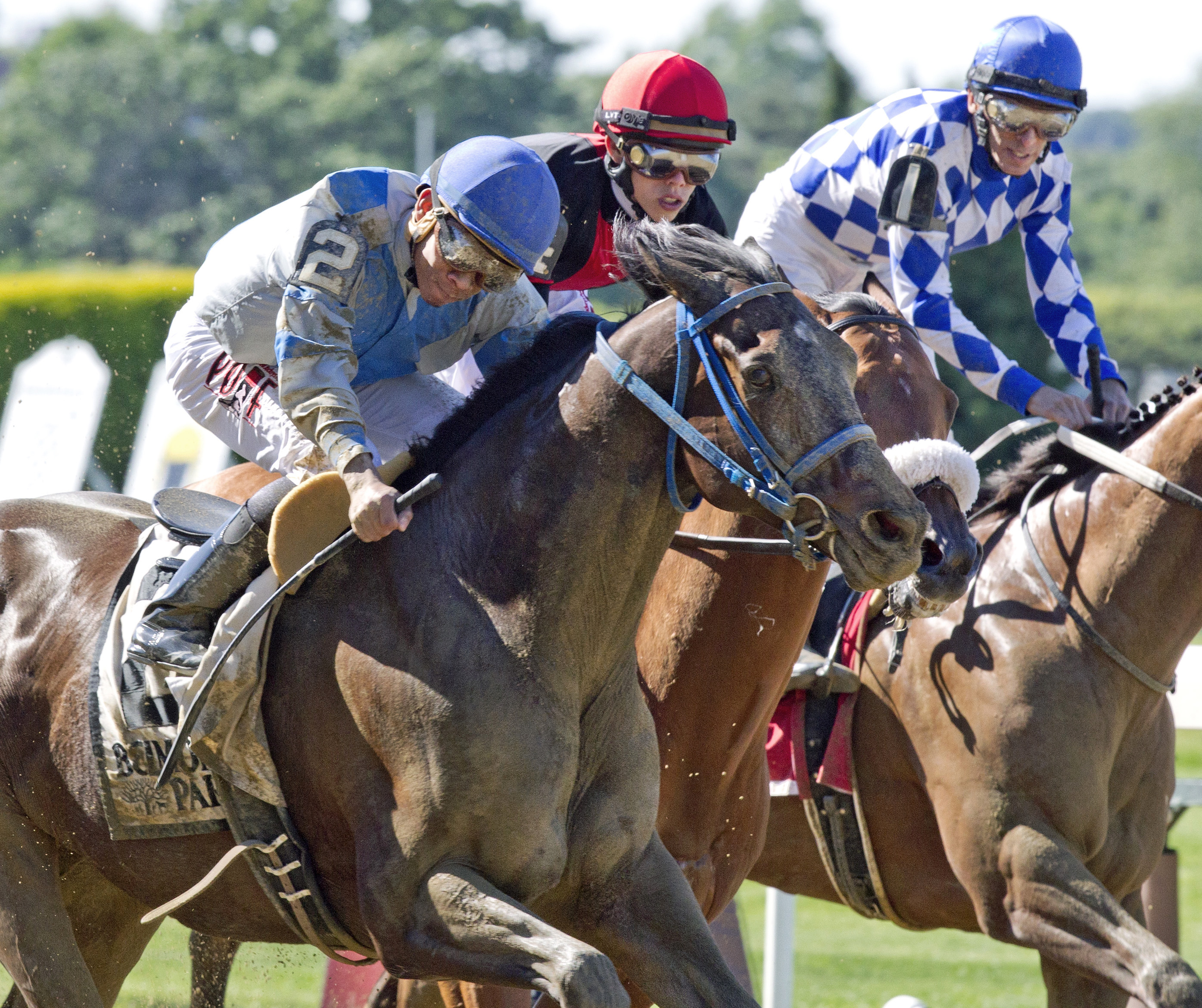 Joking wins the True North Stakes