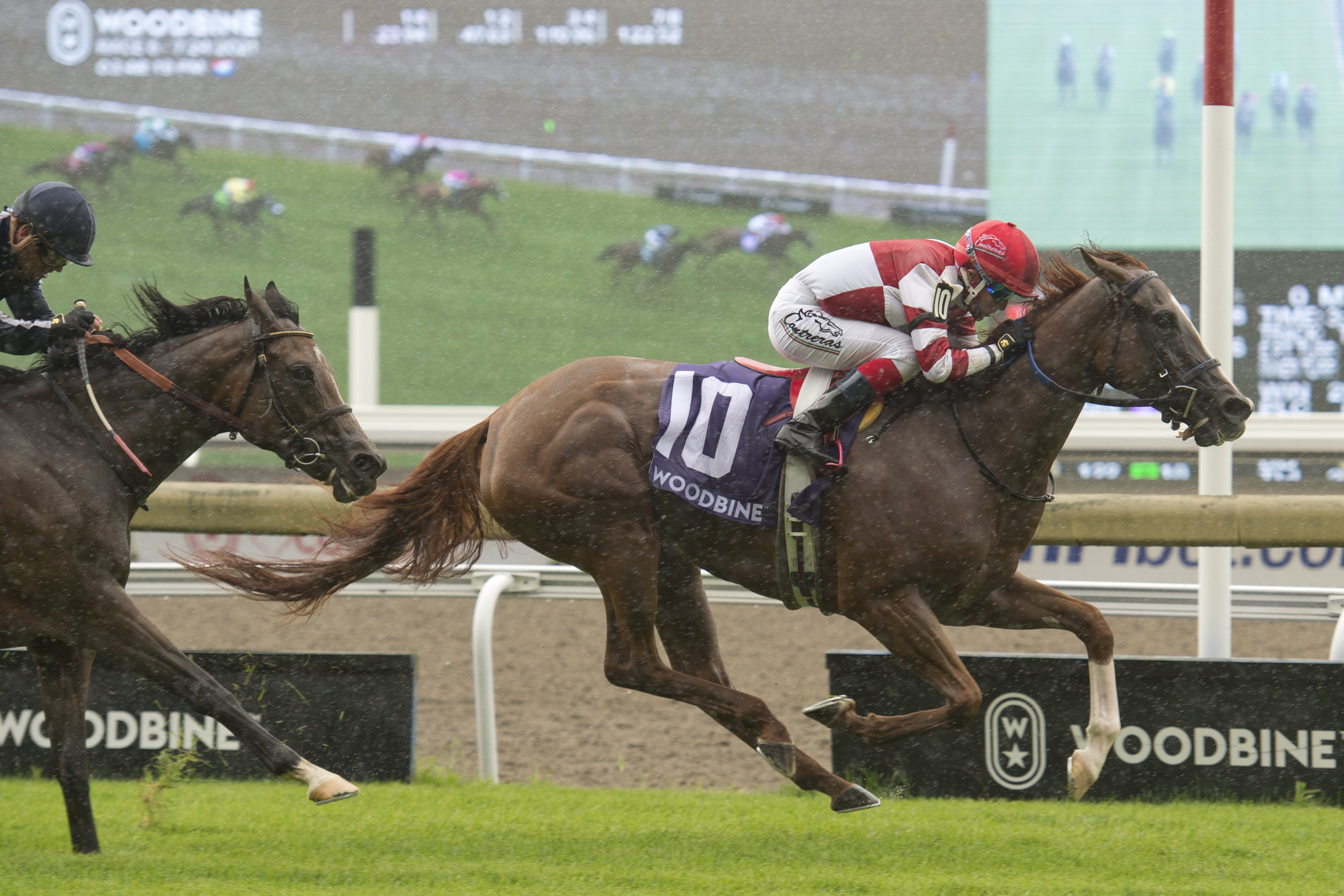Jolie Olimpica holds Abscond at bay to win the Nassau.7-24-2021
