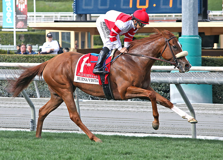 Jolie Olimpica finishes second in the 2020 Buena Vista Stakes at Santa Anita