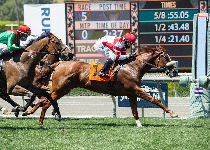 Jolie Olimpica wins the 2020 Monrovia Stakes at Santa Anita Park