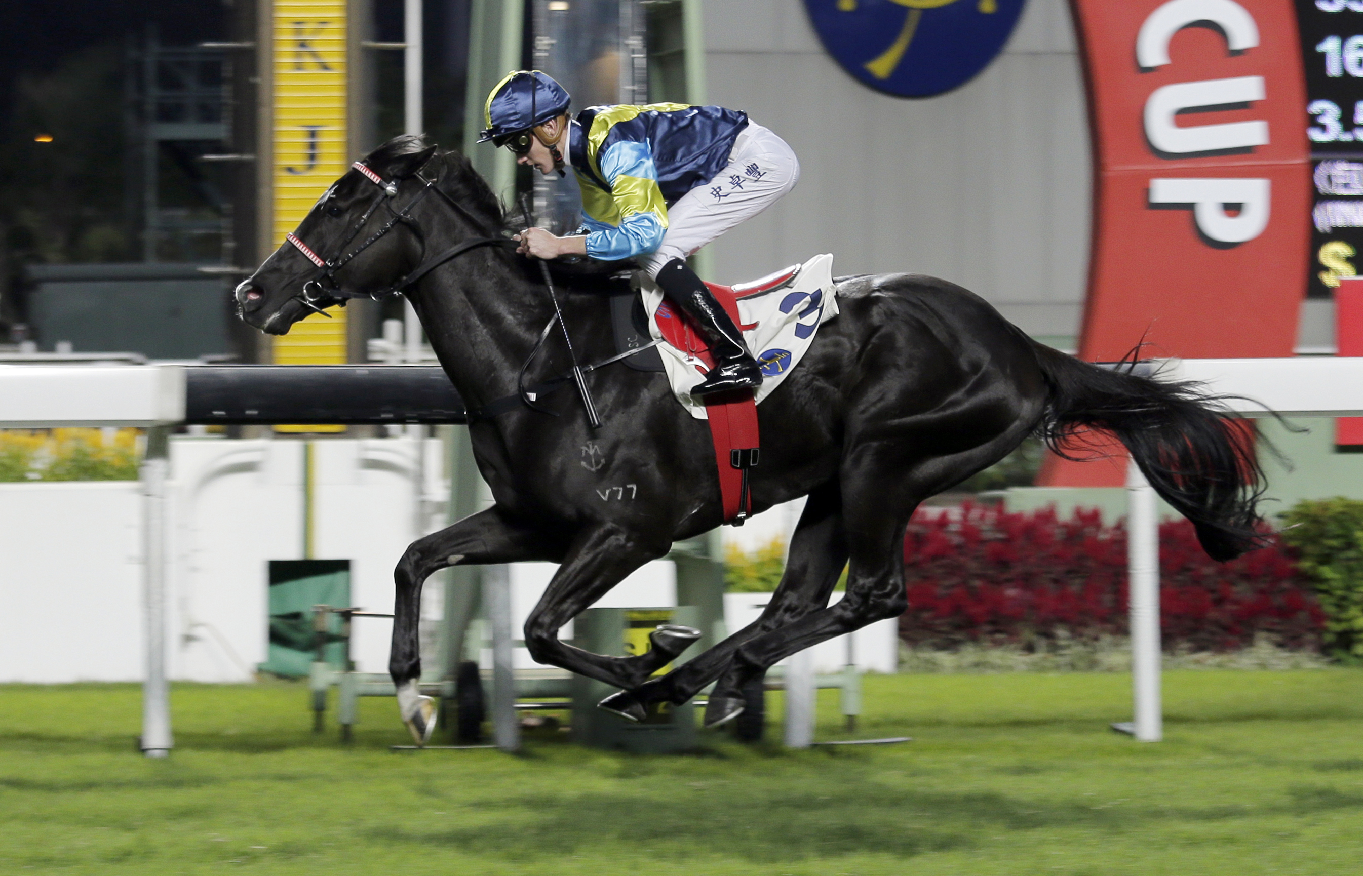 Jolly Banner wins the Chevalier Senior Housing Handicap
