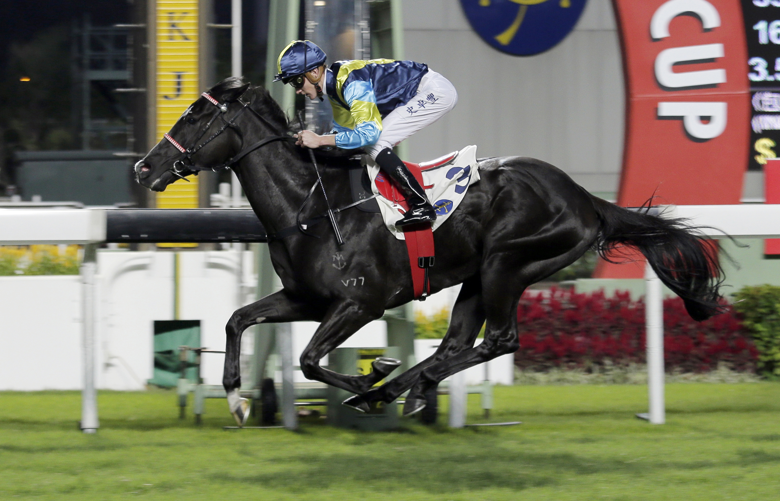Jolly Banner wins the Chevalier Senior Housing Handicap