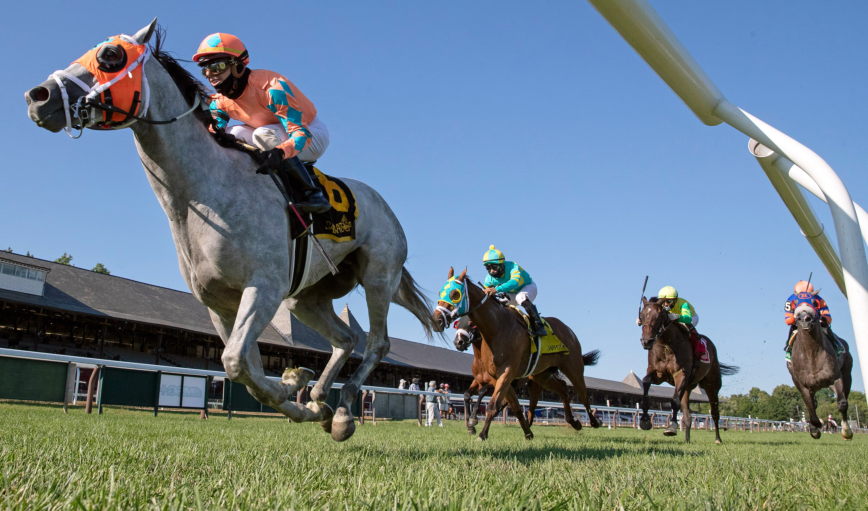 Jolting Joe wins the Cab Calloway at Saratoga Race Course
