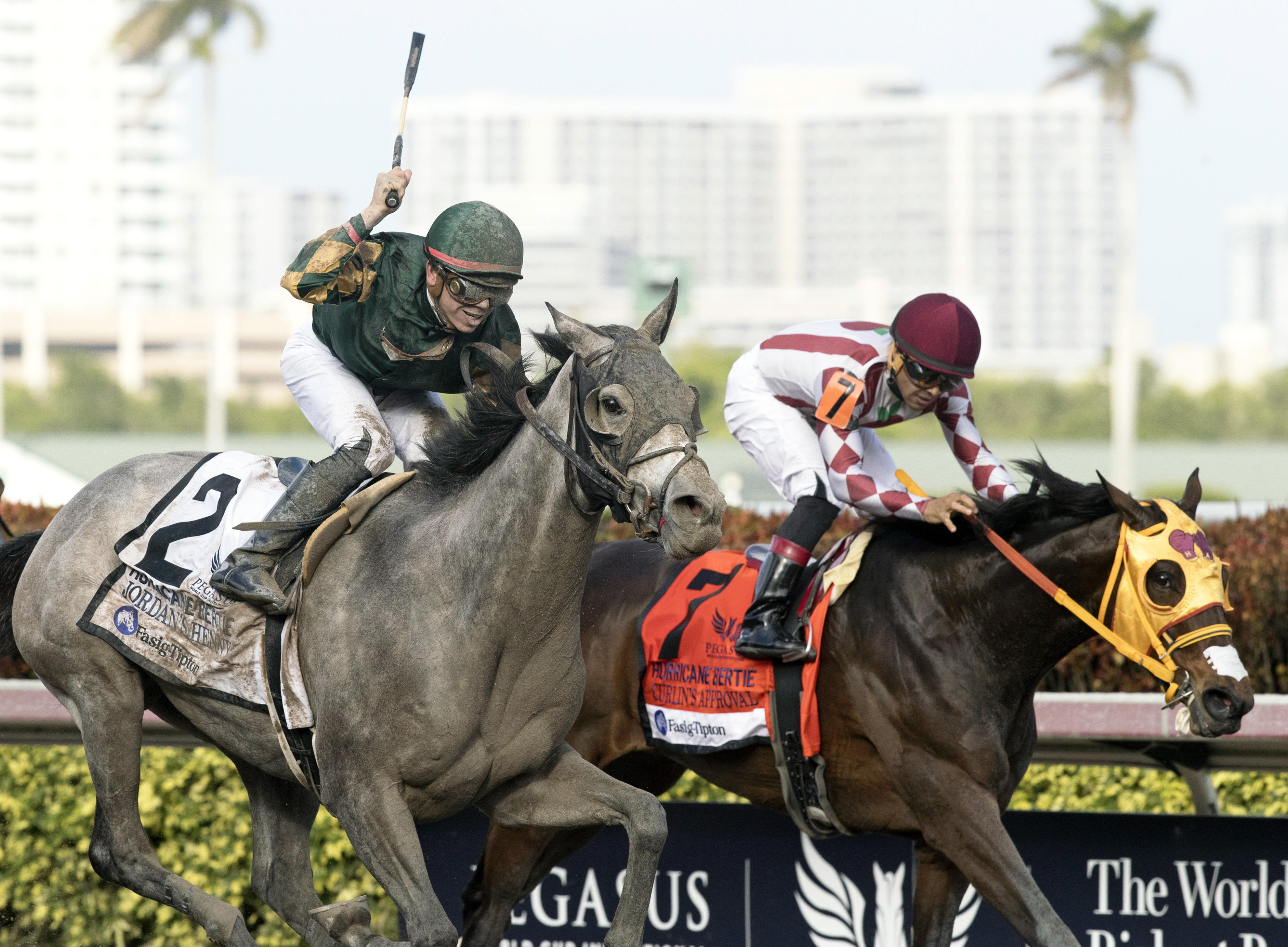 Curlin's Approval finishes second in the Hurricane Bertie Stakes