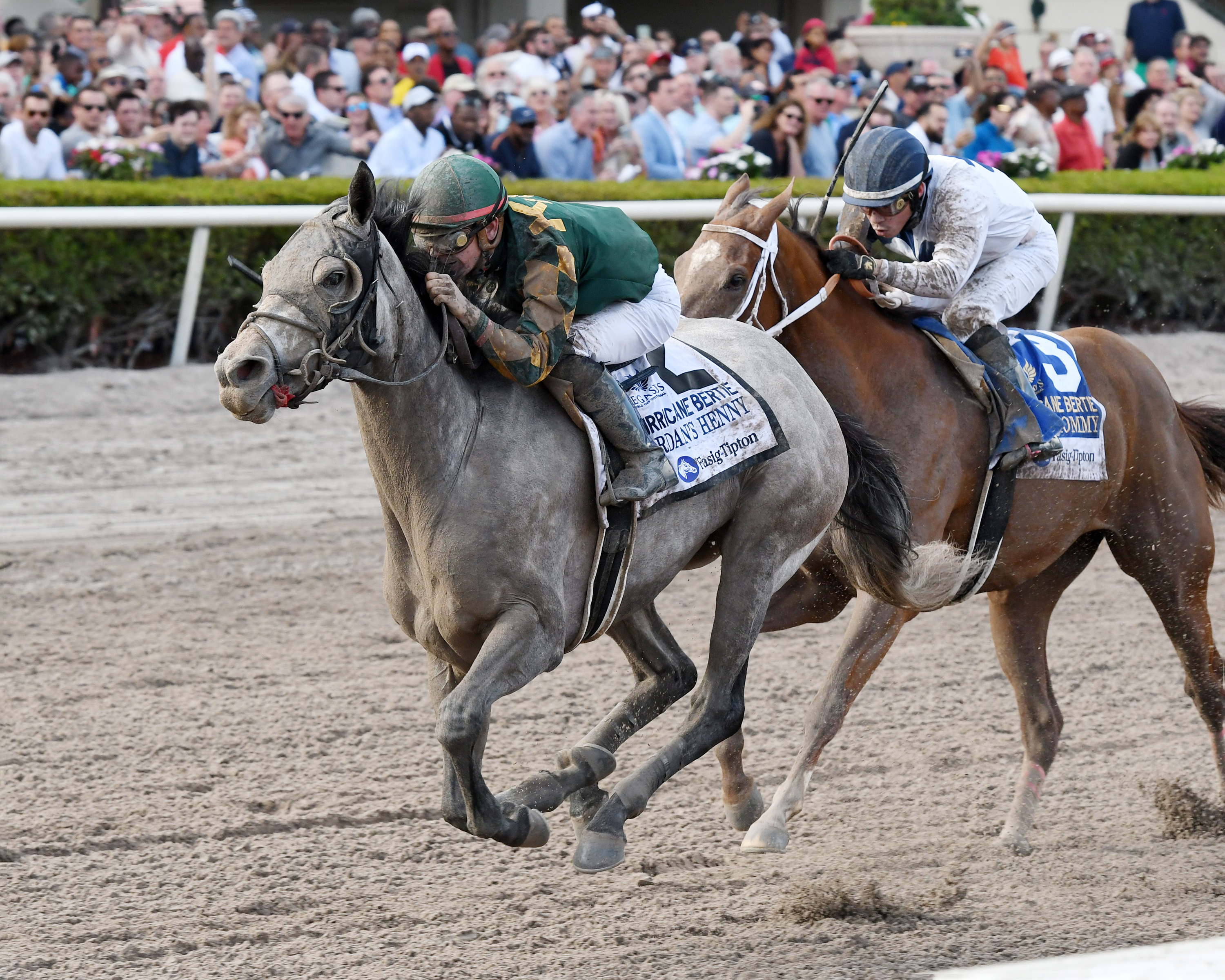 Jordan-s Henny wins the Hurricane Bertie Stakes