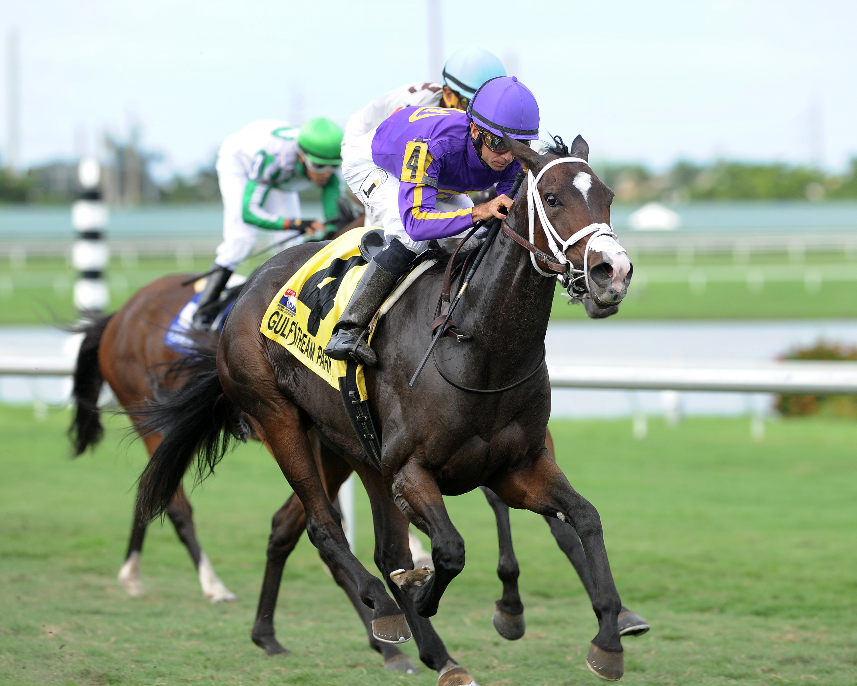 Josdesanimaux wins the 2016 Panama City Handicap