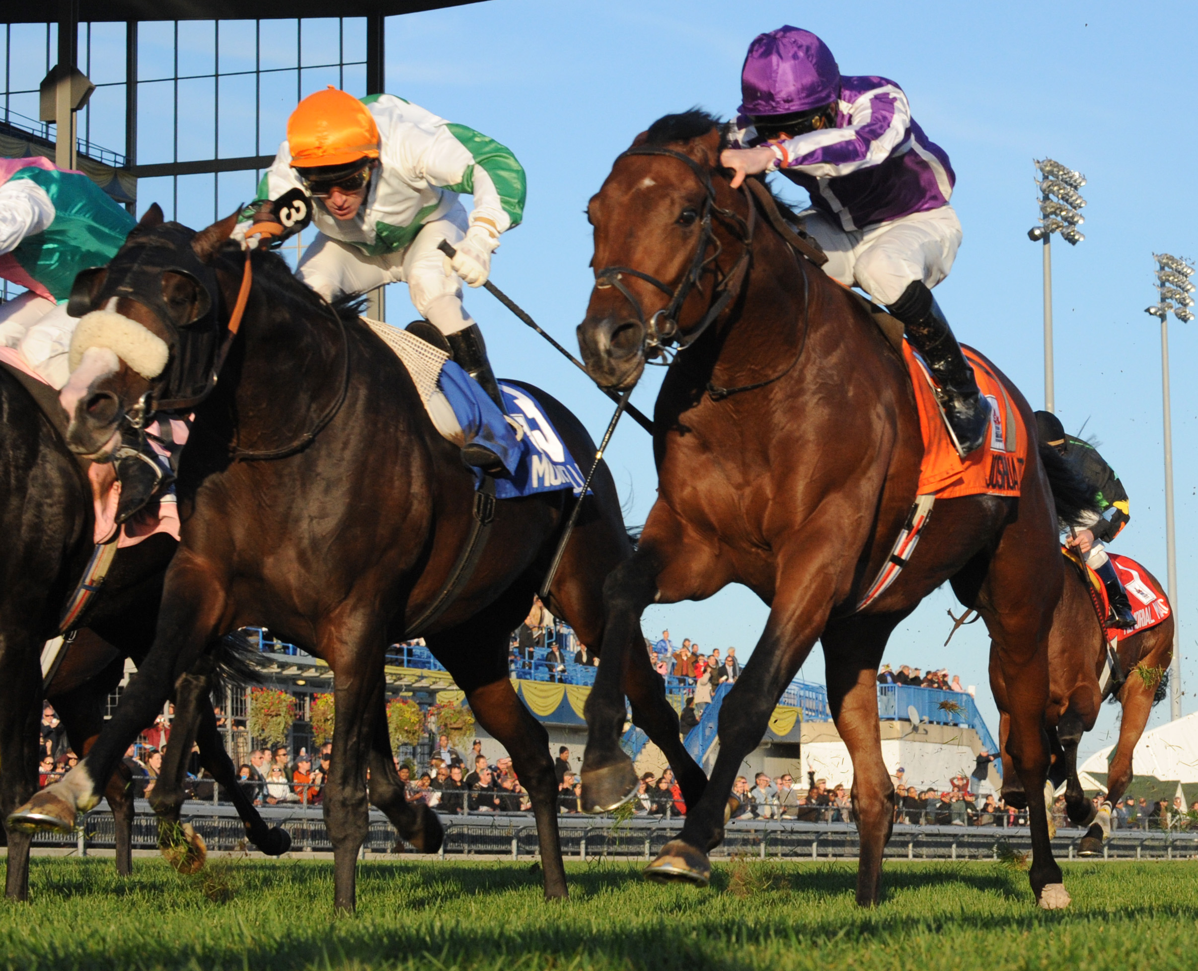 Joshua Tree wins Canadian International