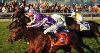 Joshua Tree wins Canadian International
