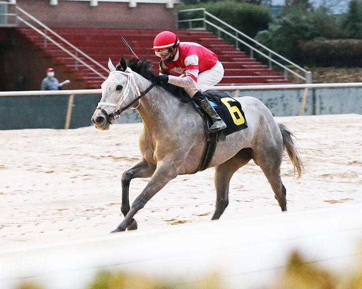 Josie wins a Feb. 28 allowance at Oaklawn Park