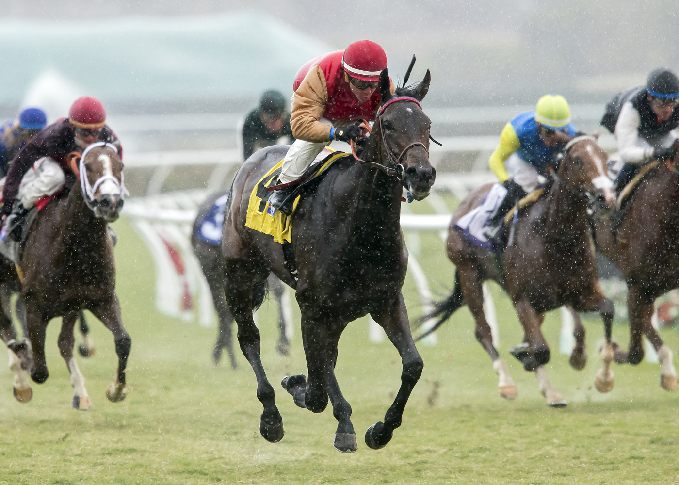 Journey Home wins the Jimmy Durante