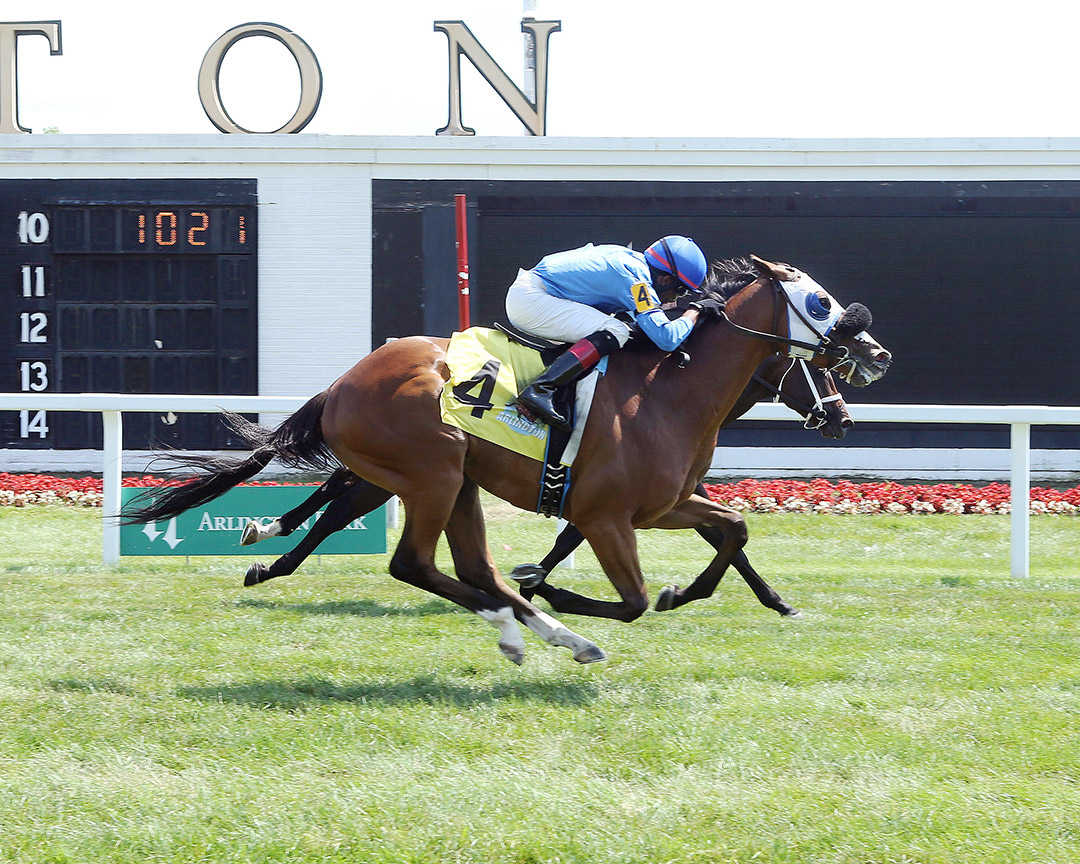 Journeyman (4) wins a July 2019 allowance at Arlington Park