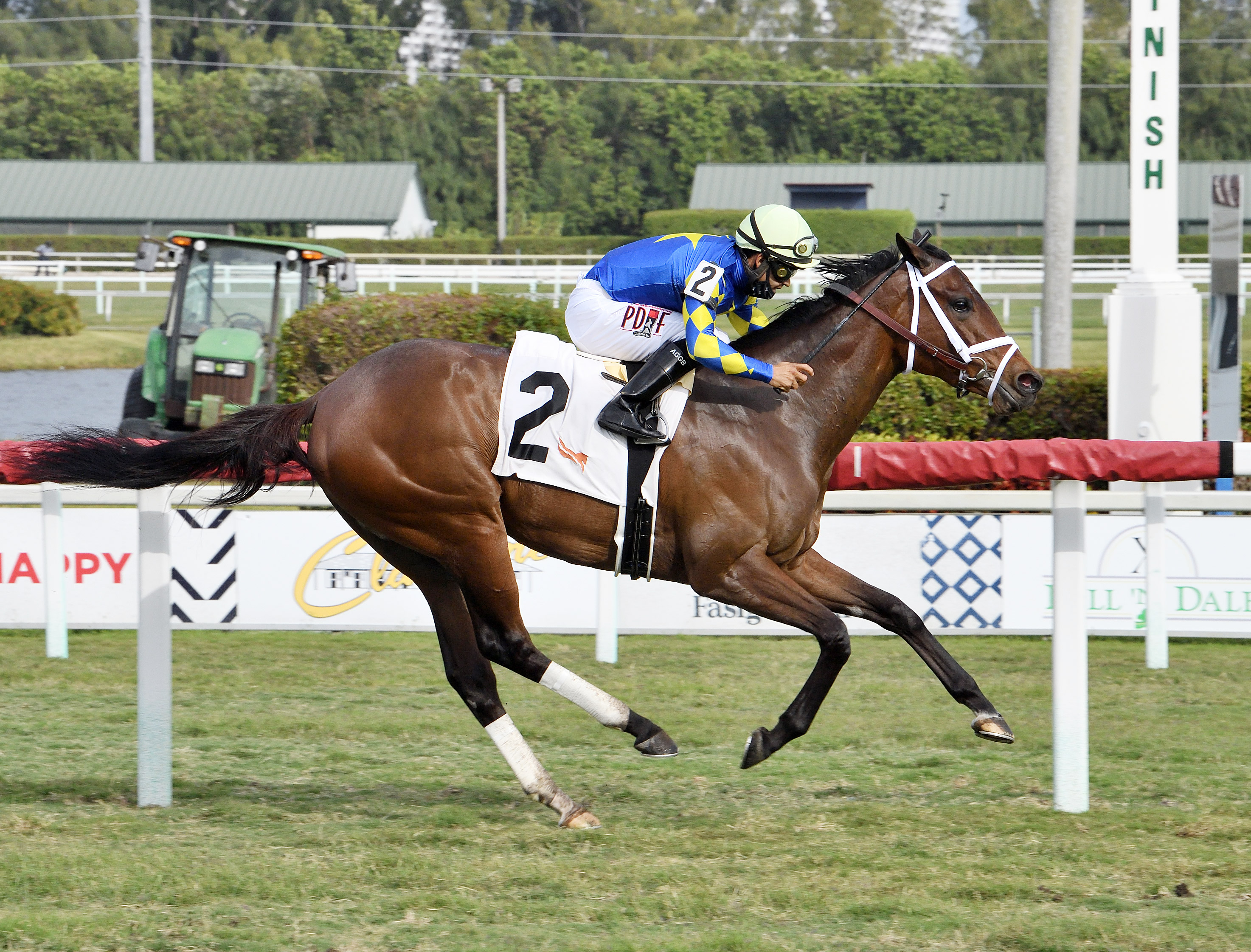 Jouster wins a Feb. 7 allowance at Gulfstream Park