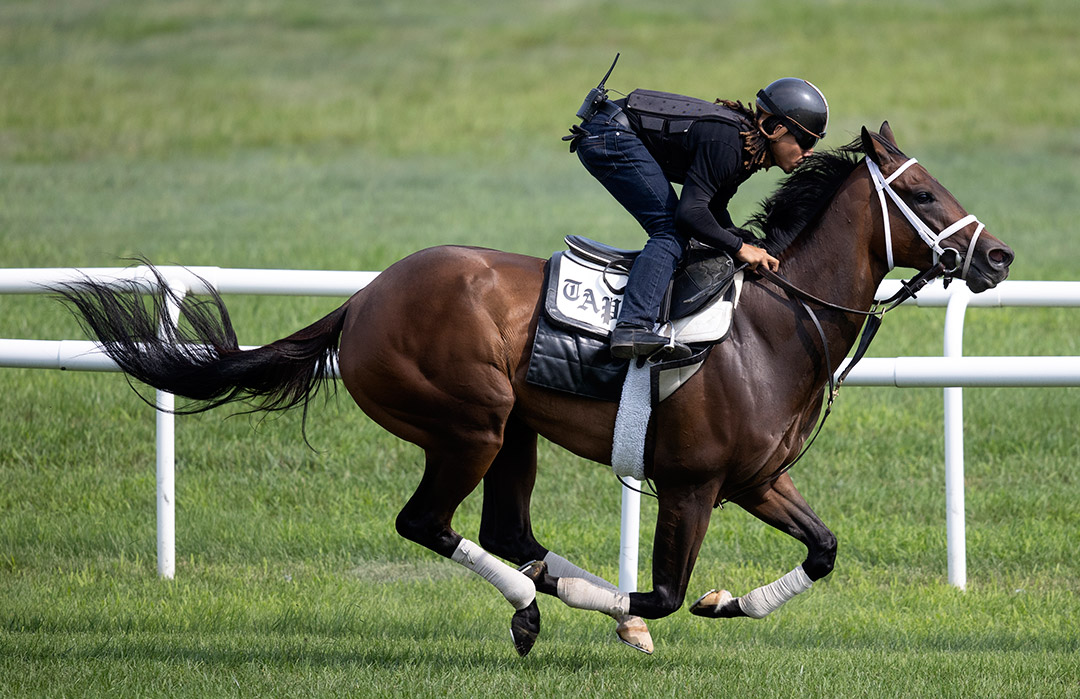 Jouster trains at Saratoga Race Course on July 16