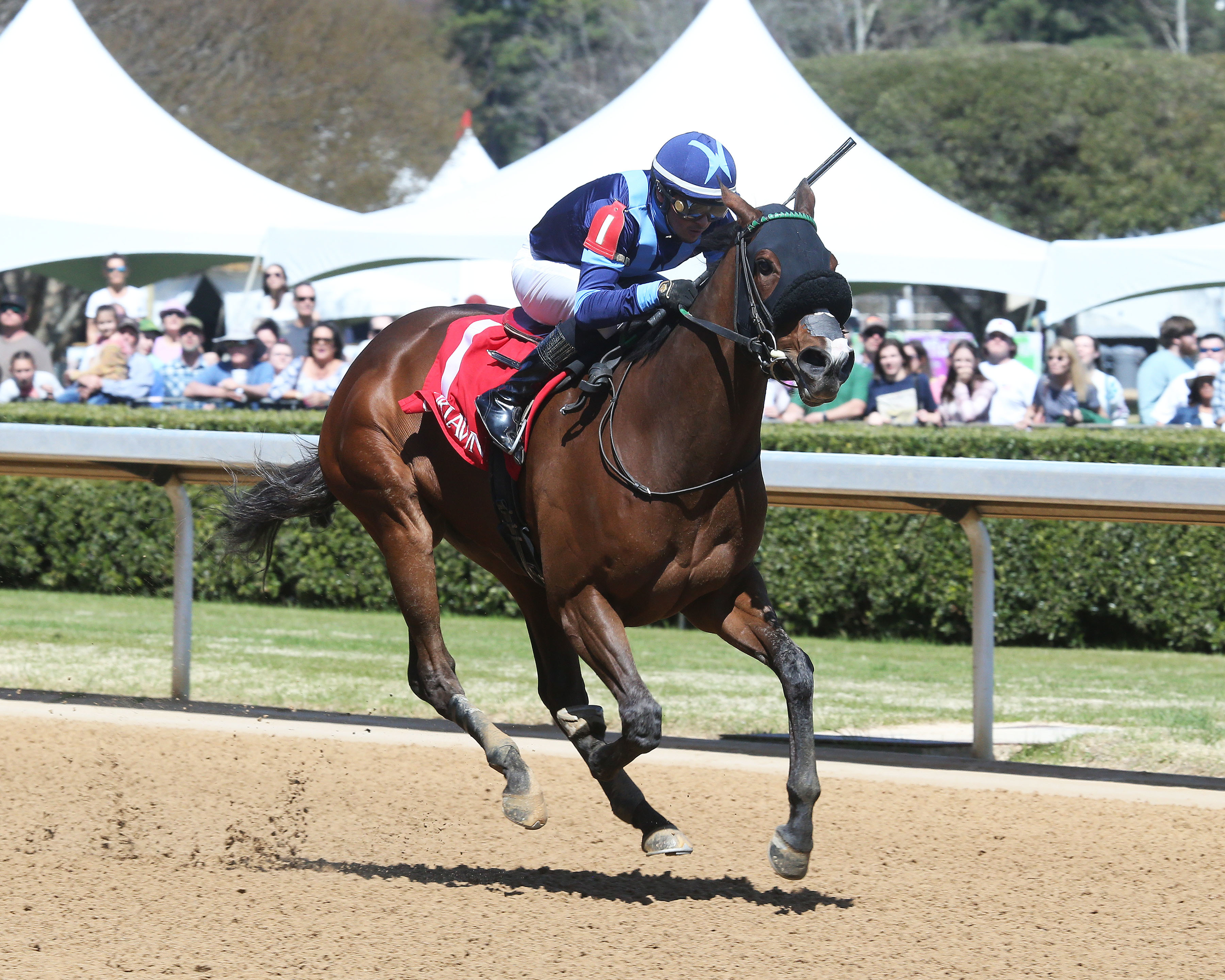 Joyful Cadence wins at Oaklawn on March 20 2022
