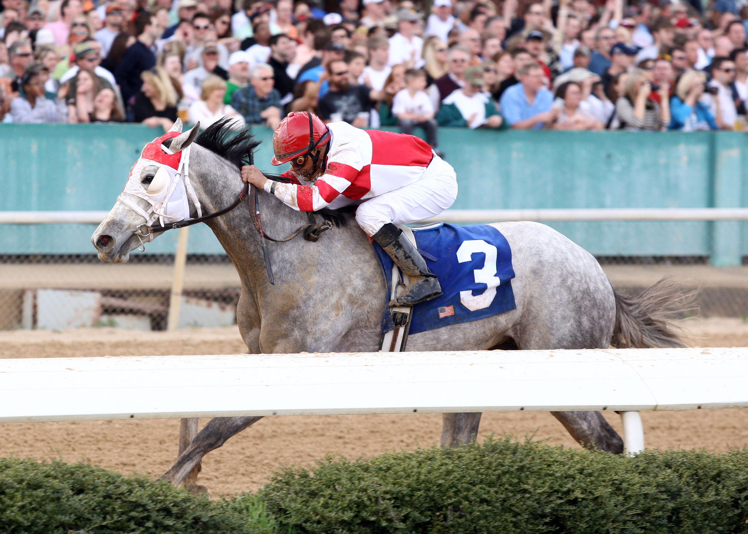 Joyful Victory 3-12-2011