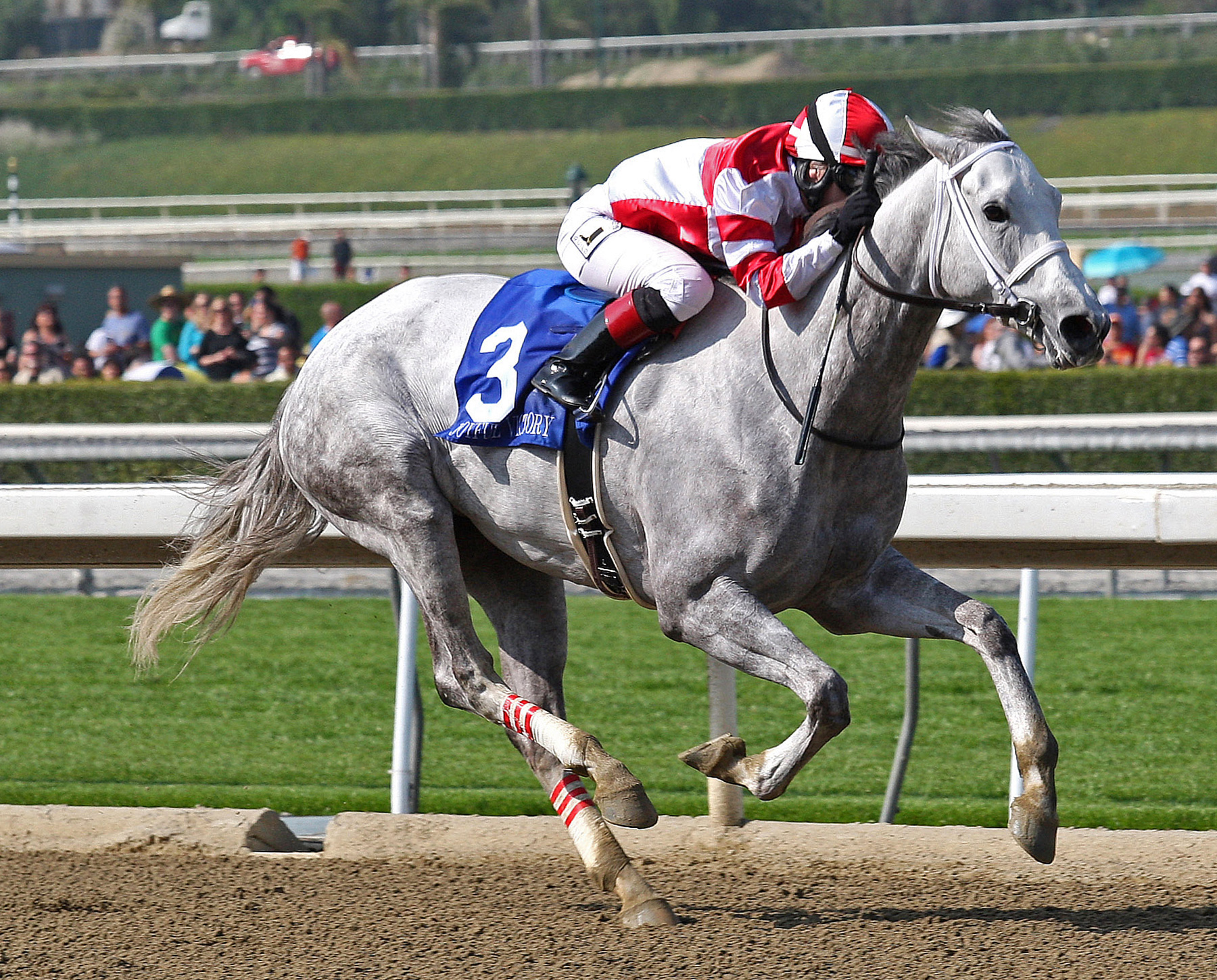 Joyful Victory 3-16-13