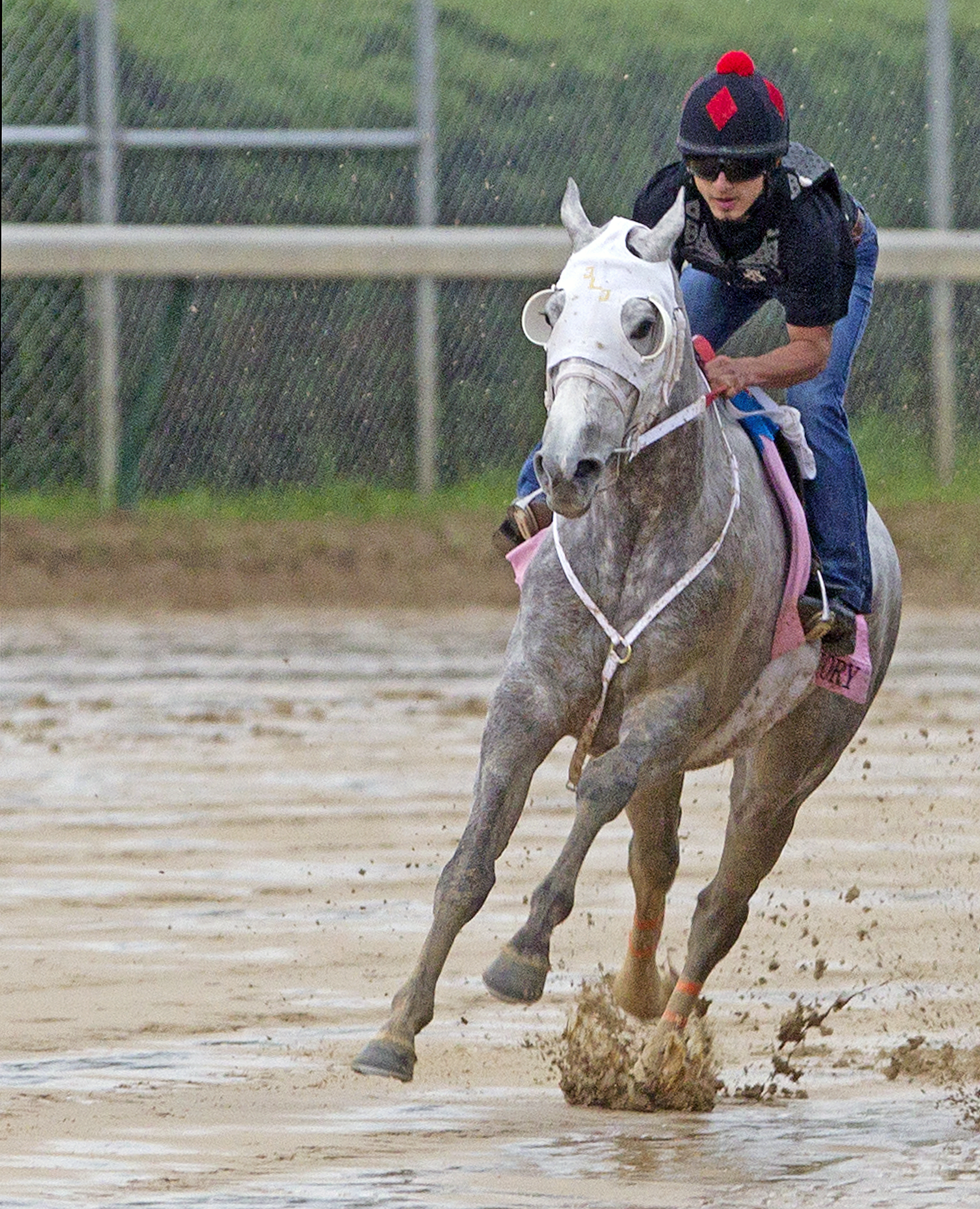 Joyful Victory trains at Churchill