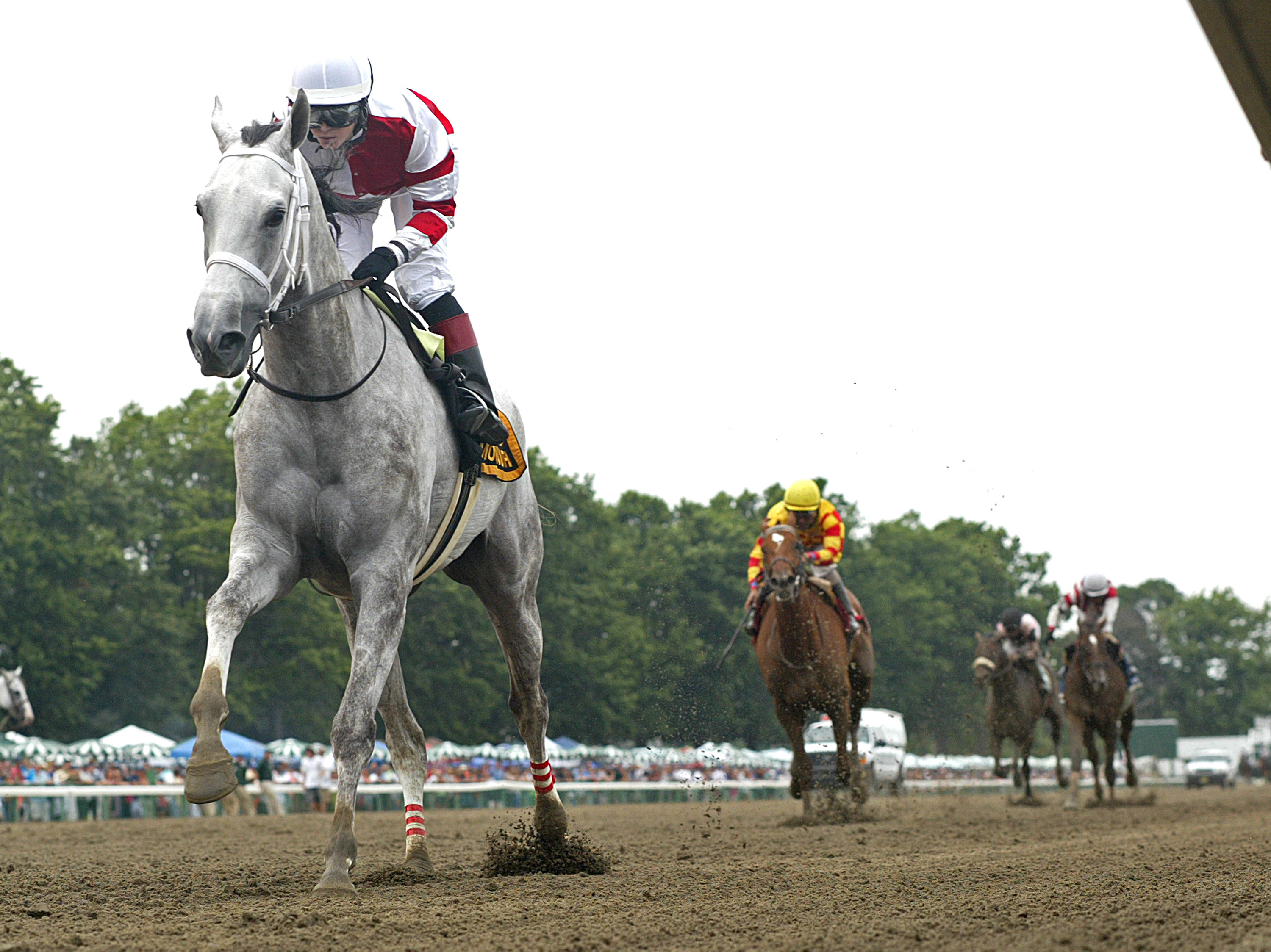 Joyful Victory, Molly Pitcher