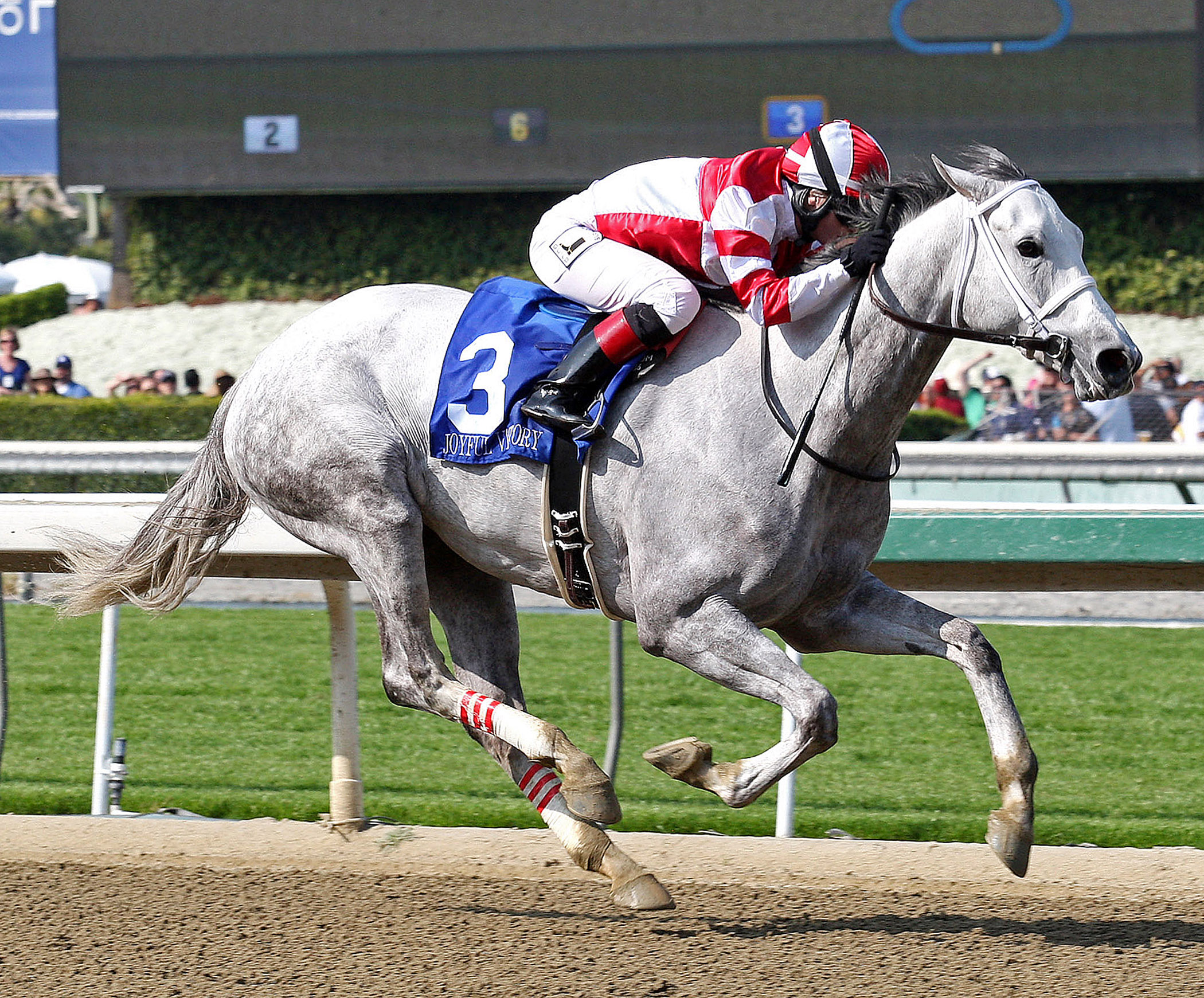 Joyful Victory, Santa Margarita Stakes