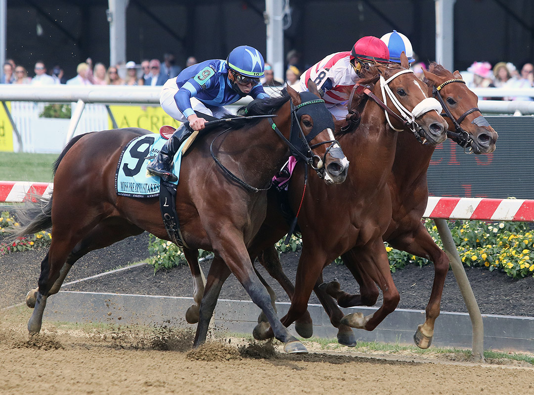 Joyful Cadence (9) finishes third in the 2021 Miss Preakness Stakes at Pimlico Race Course