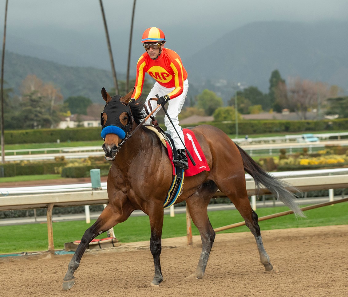 Juan Hernandez on Havnameltdown after San Vicente at SA Jan 29 2023