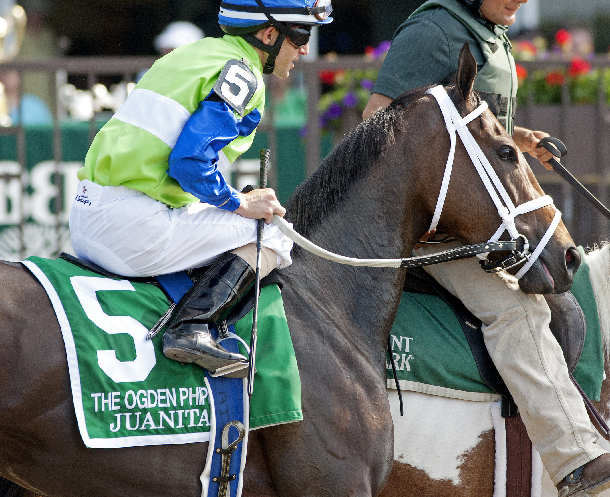 Weekend Warrior for Aug. 11: Picks for Gardenia Stakes, Monmouth Oaks, and Fourstardave