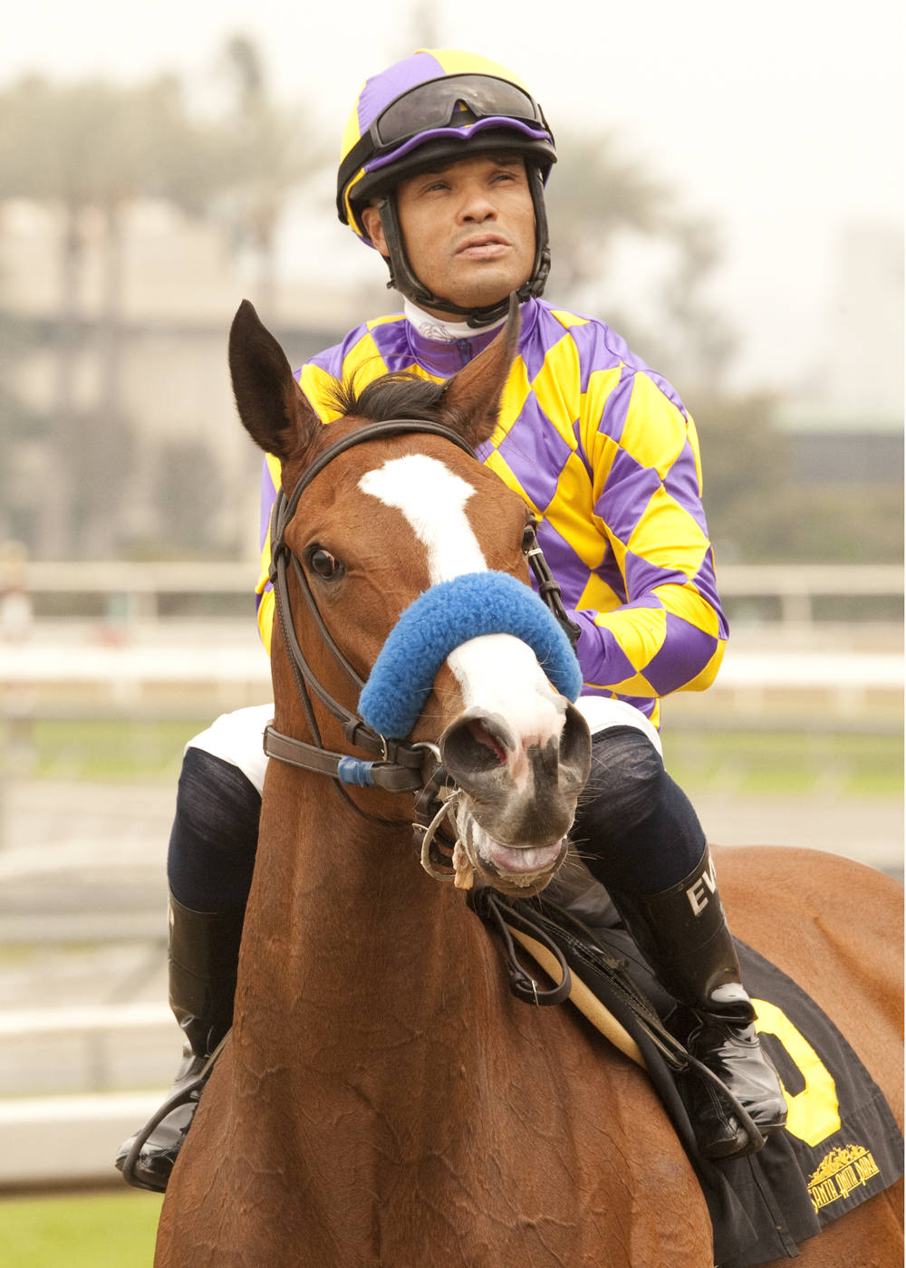 Martin Pedroza aboard Jubliant Girl