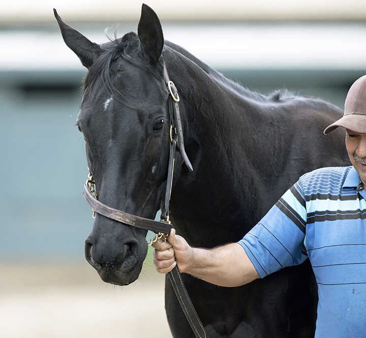 Judicial at Santa Anita on Feb. 13