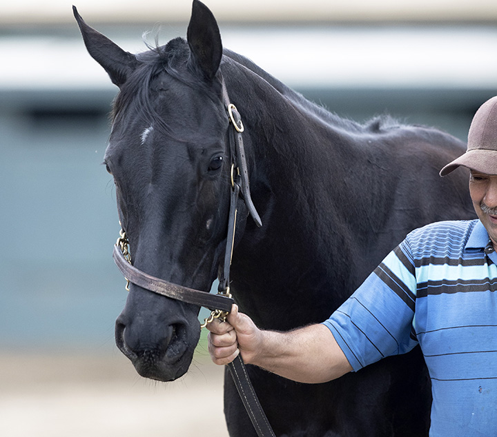 Judicial at Santa Anita on Feb. 13