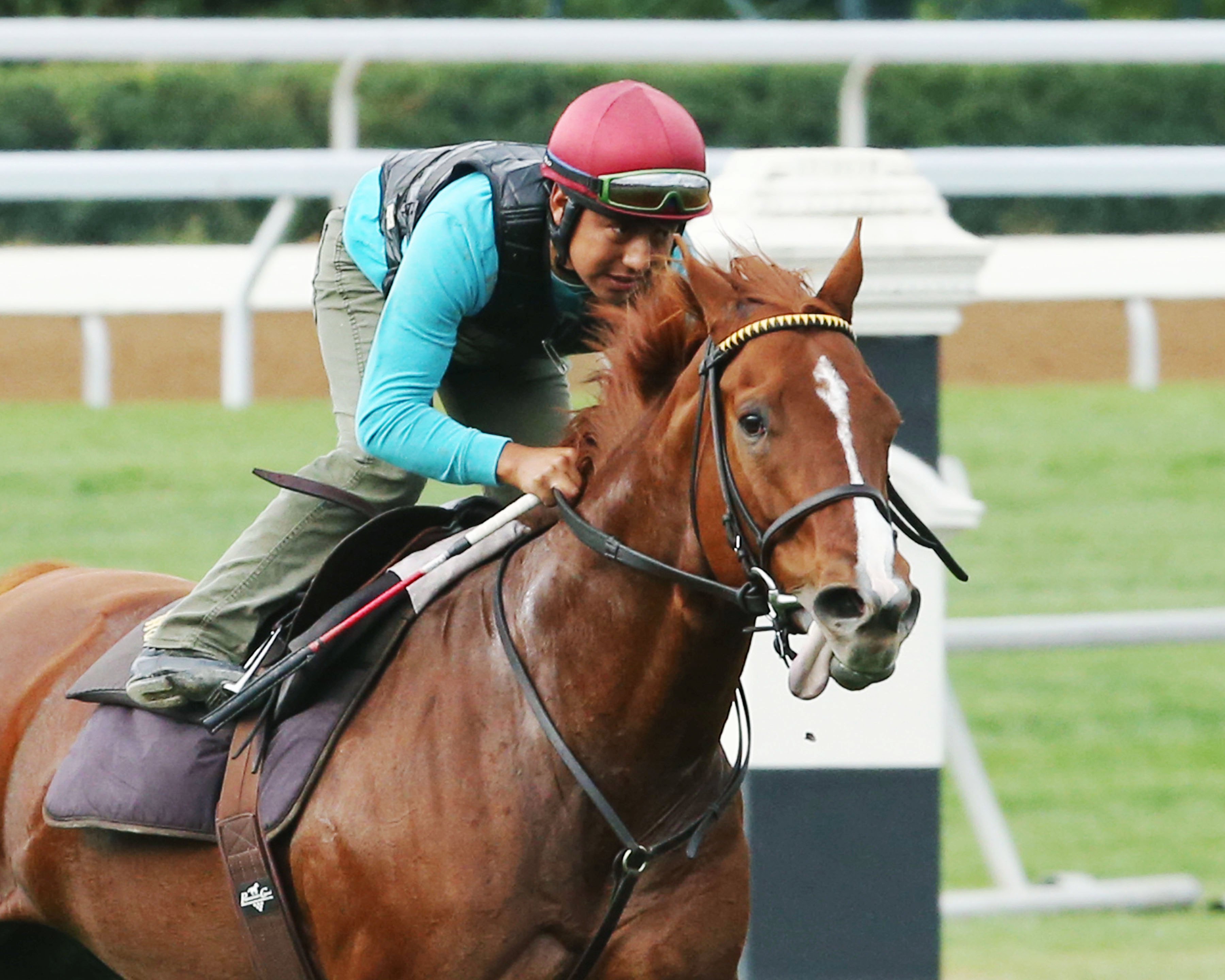 Judy the Beauty trains at Keeneland on Sept. 27