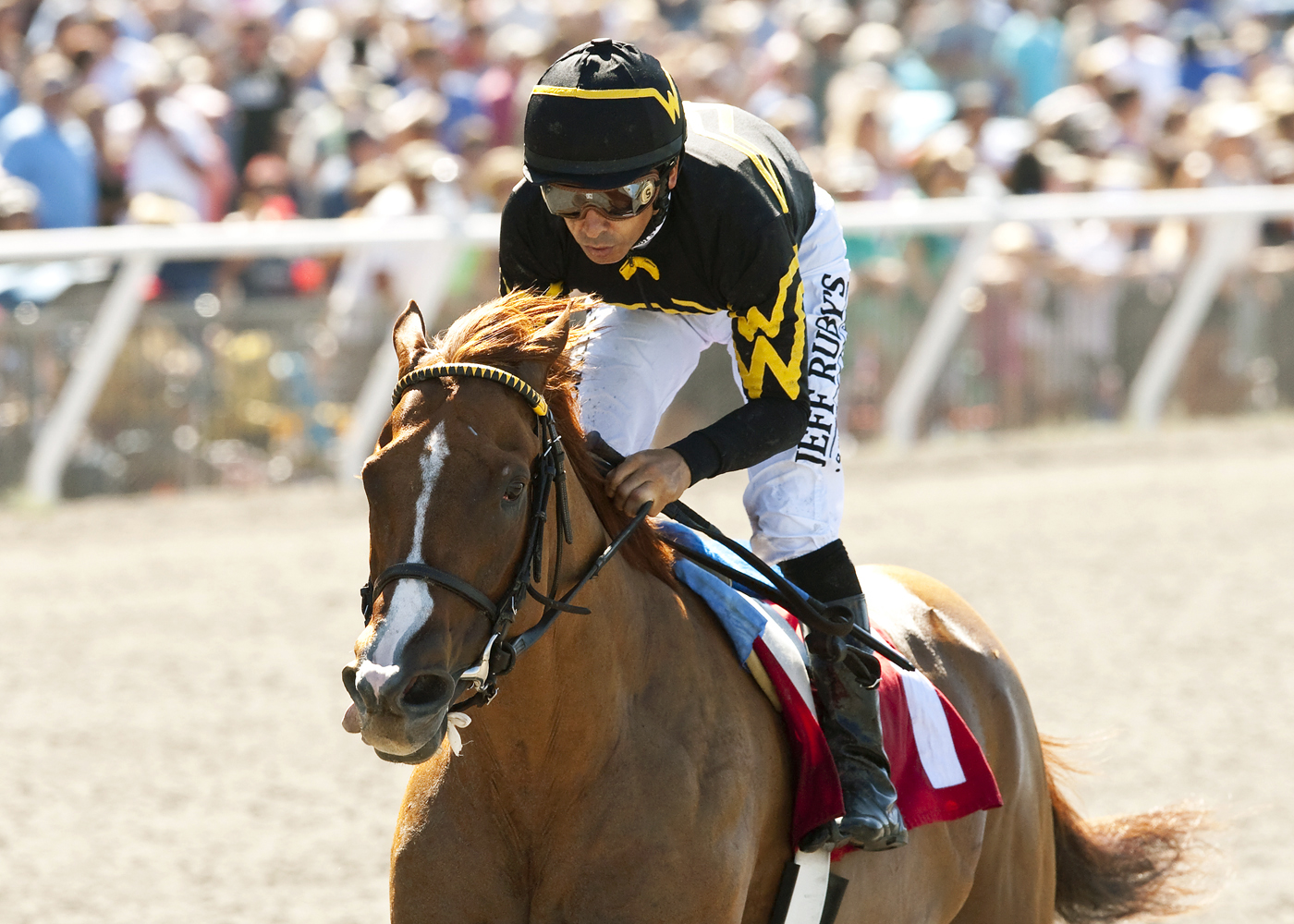 Judy the Beauty win the Rancho Bernardo