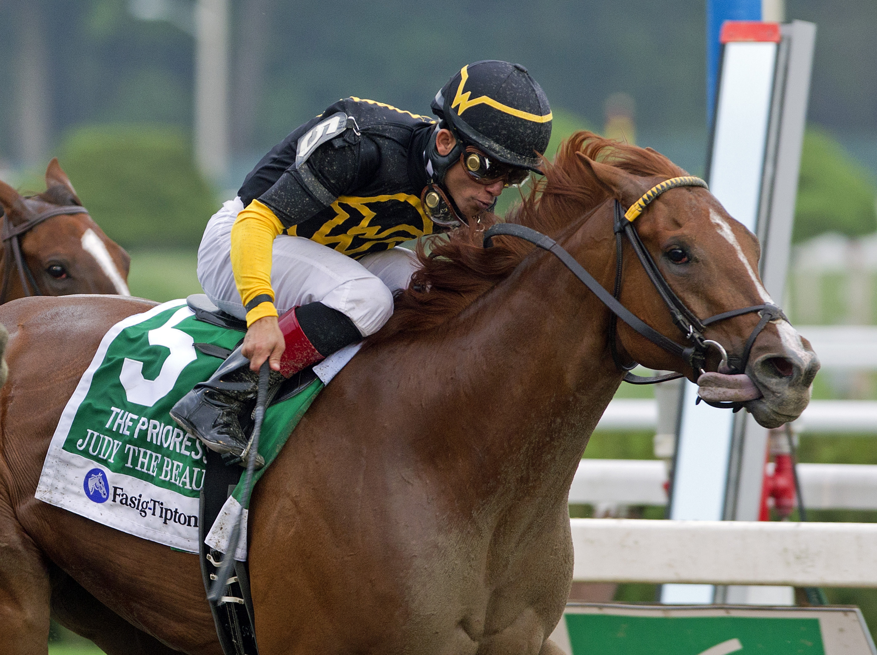 Judy the Beauty, Prioress Stakes at Saratoga