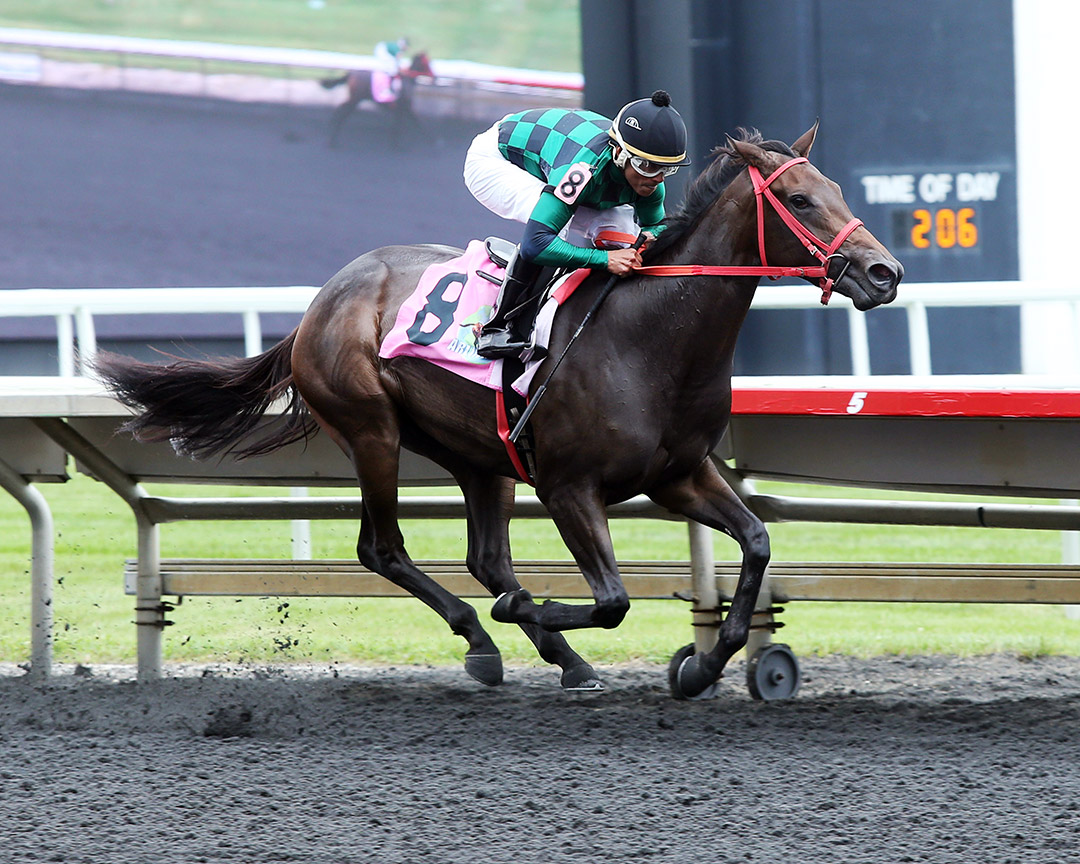 Judy's Way wins a September 2019 maiden race at Arlington