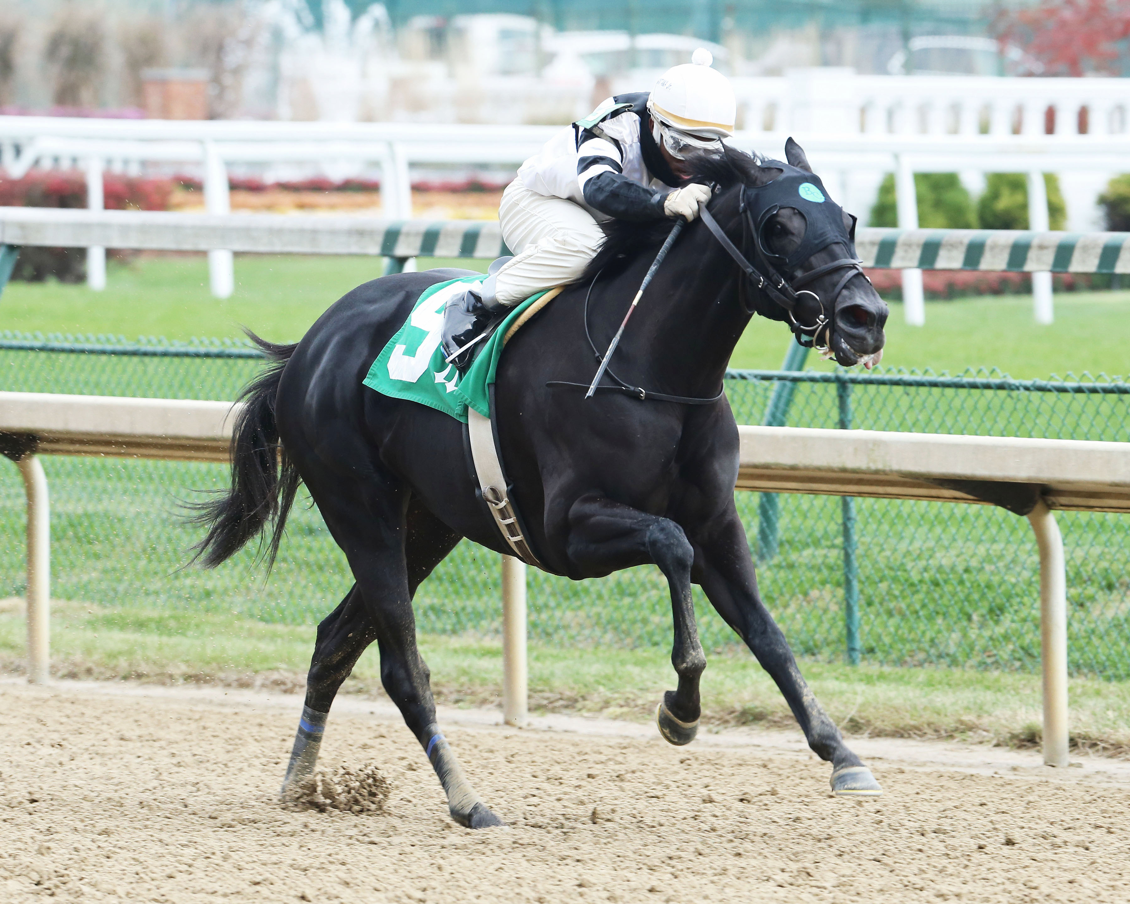 Julerette wins a Nov. 16 allowance