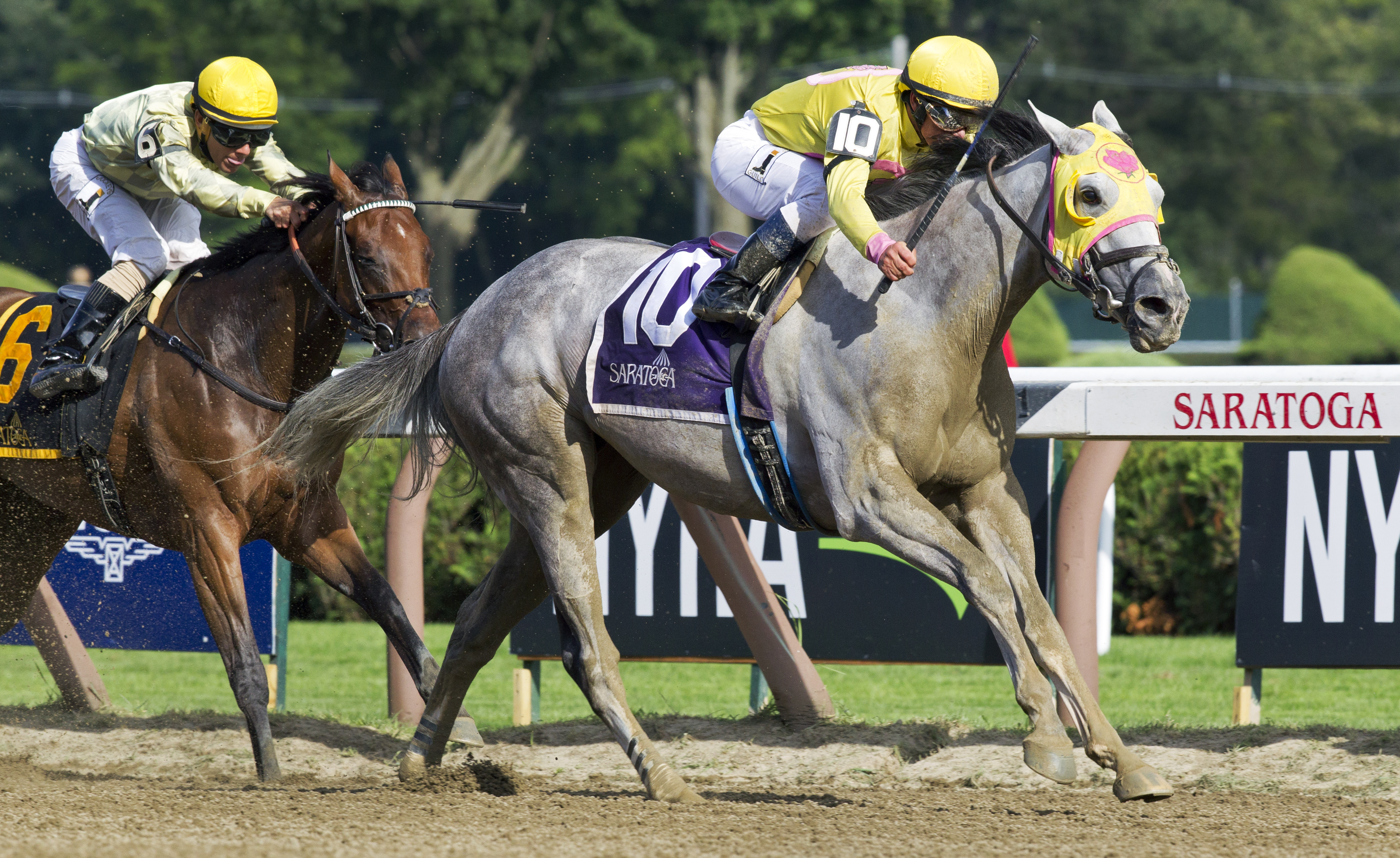 Jules N Rome wins the Saratoga Dew Stakes