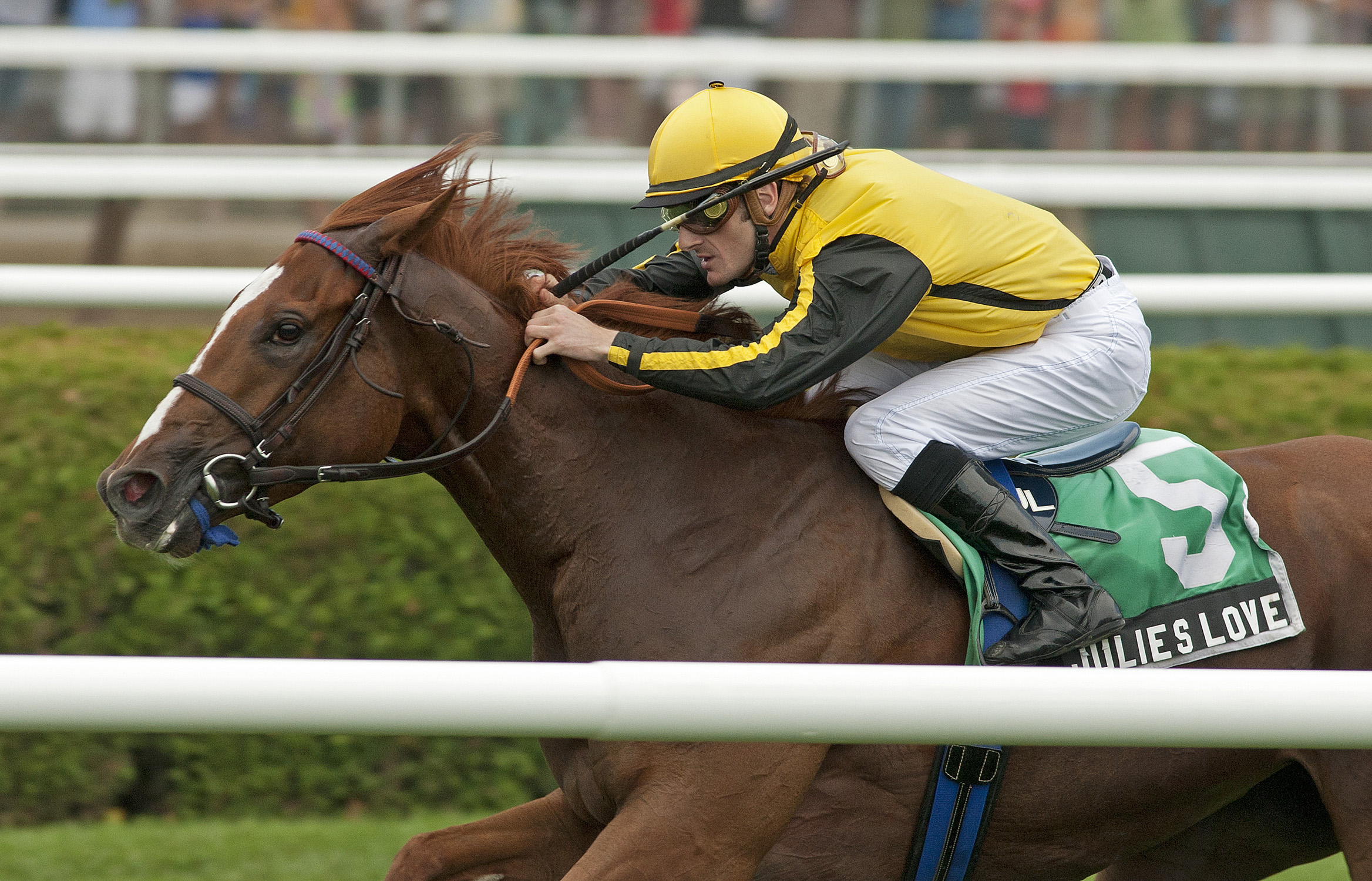 Julie's Love, De La Rosa Stakes