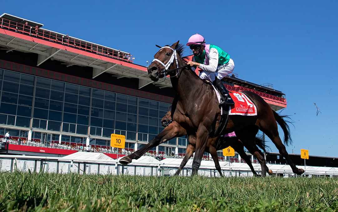 Juliet Foxtrot wins the 2020 Gallorette Stakes at Pimlico Race Course
