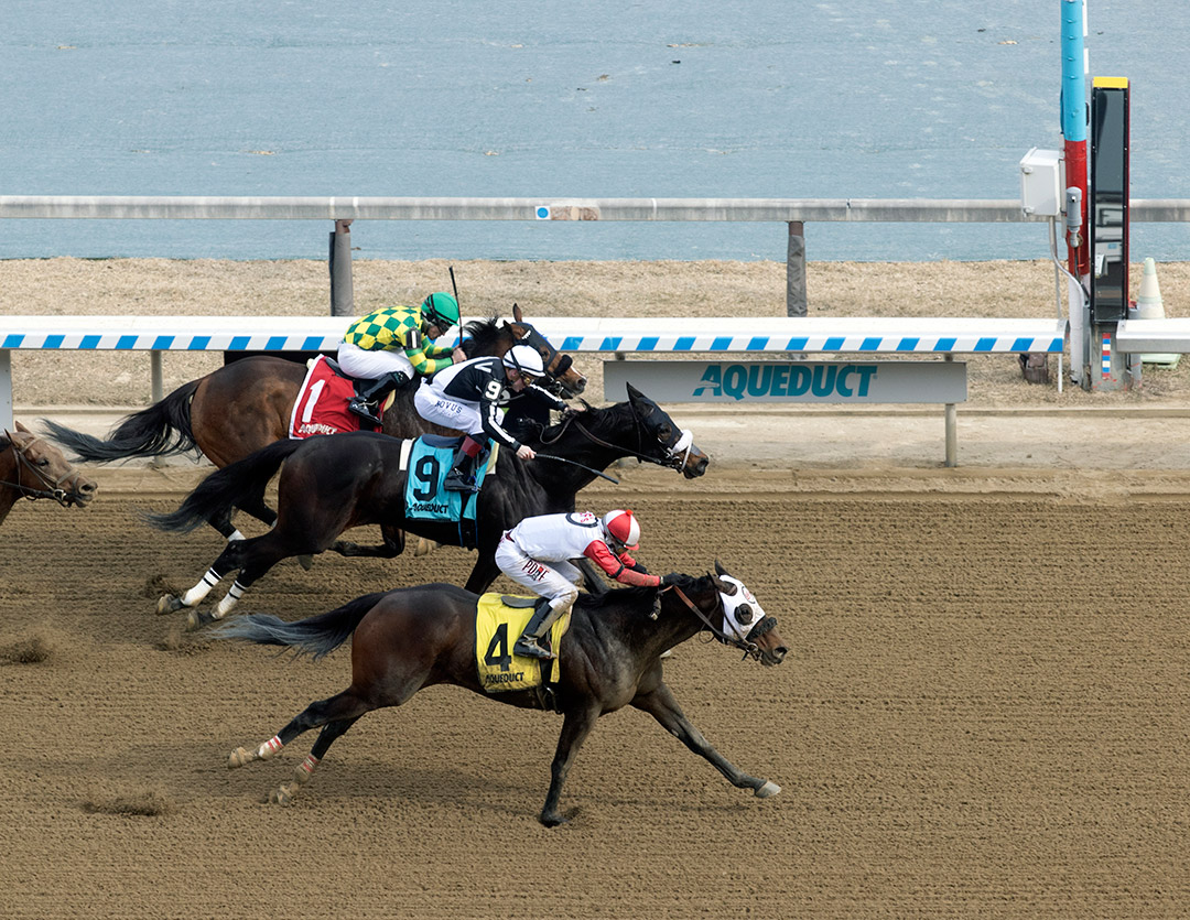 Dirt racing at Aqueduct, March 2022