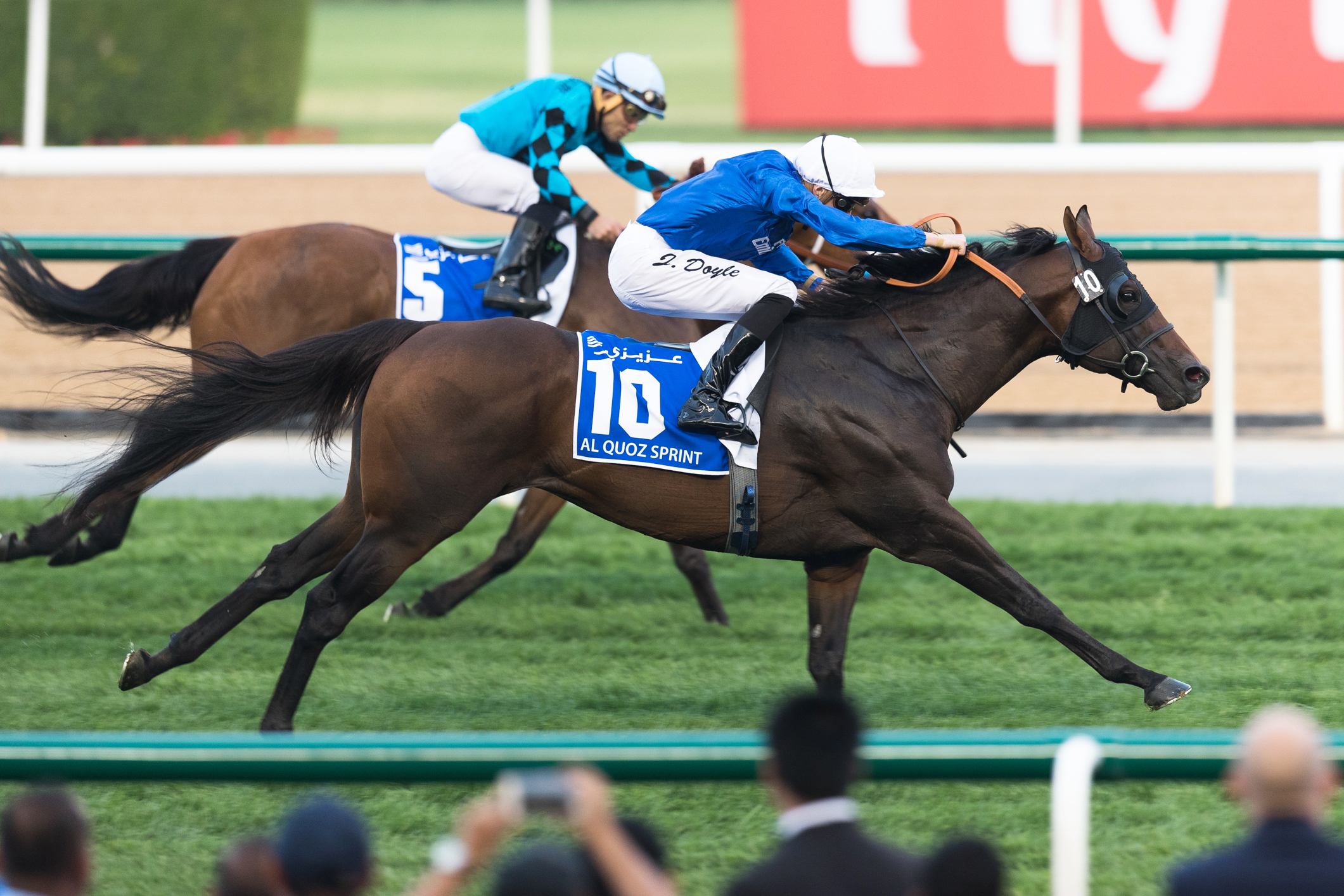 Jungle Cat holds off Stormy Liberal to win Al Quoz Sprint