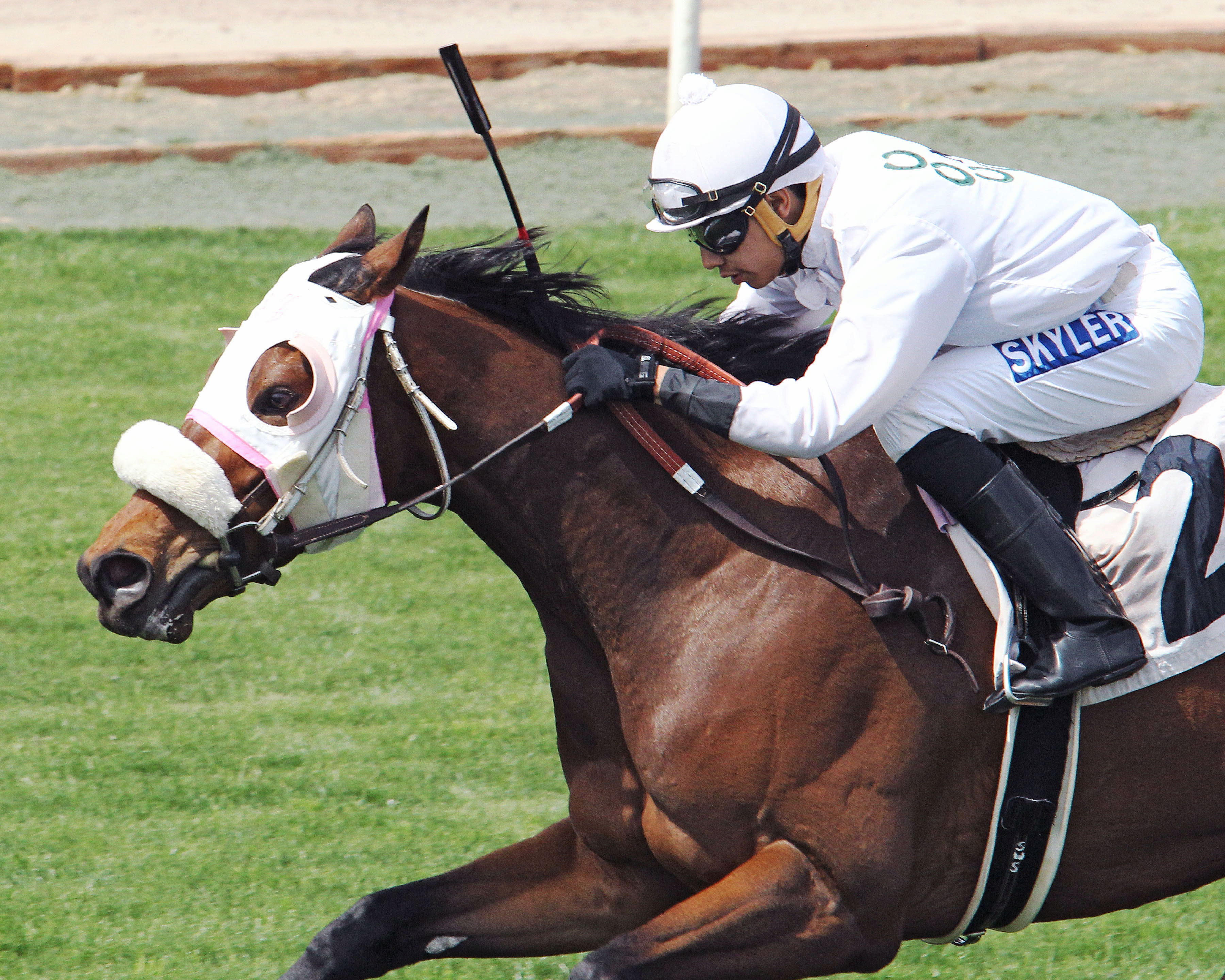 Jungle Java wins the Arizona Stallion Stakes