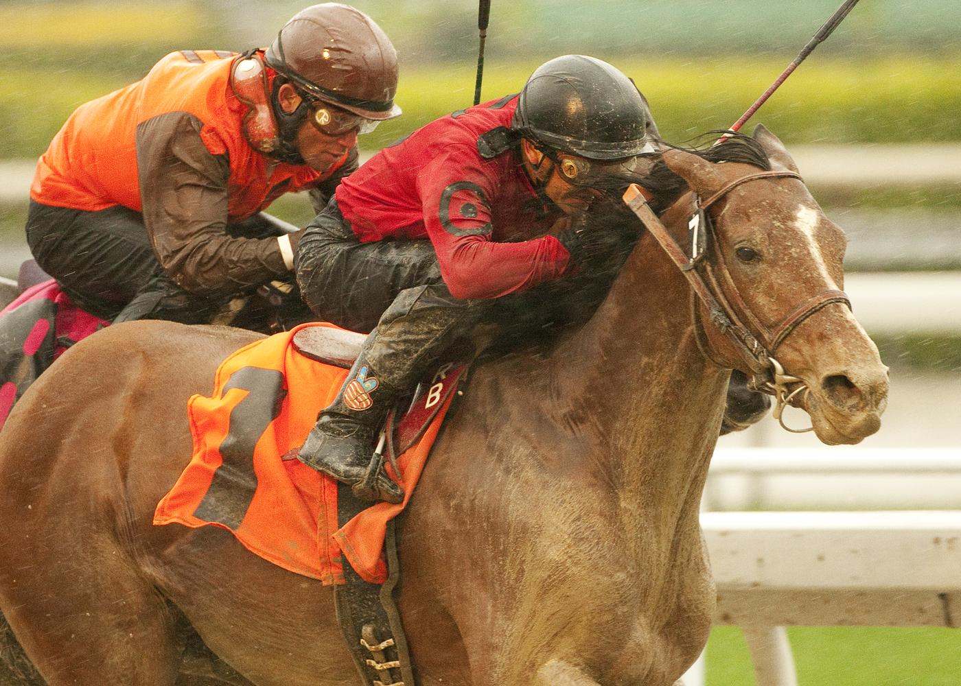 Juniper Pass/San Luis Rey