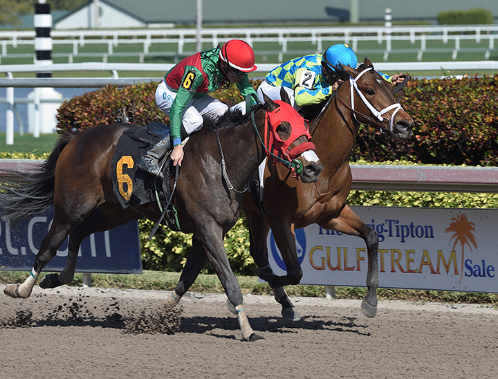 Just Ain't Right wins a Jan. 16 allowance race